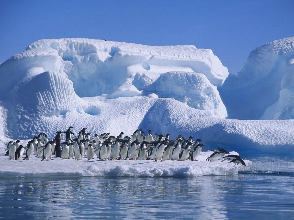 1024x768 Antarctica Wallpaper HD Download