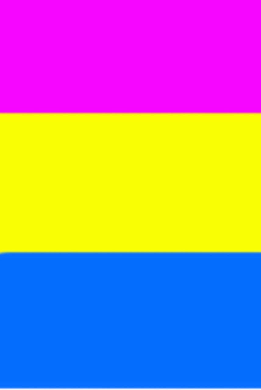 856x1280 Pansexual Wallpaper