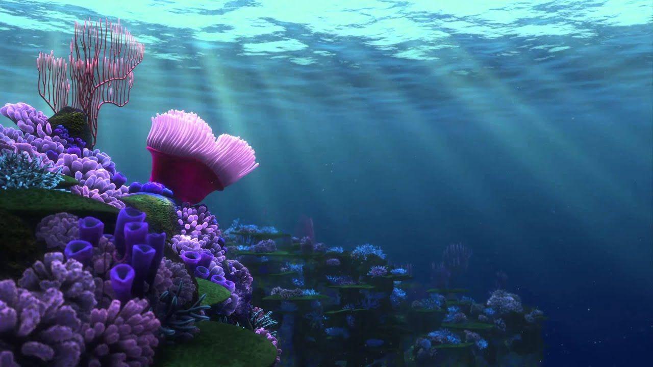 1280x720 FINDING NEMO (Coral Reef 1)