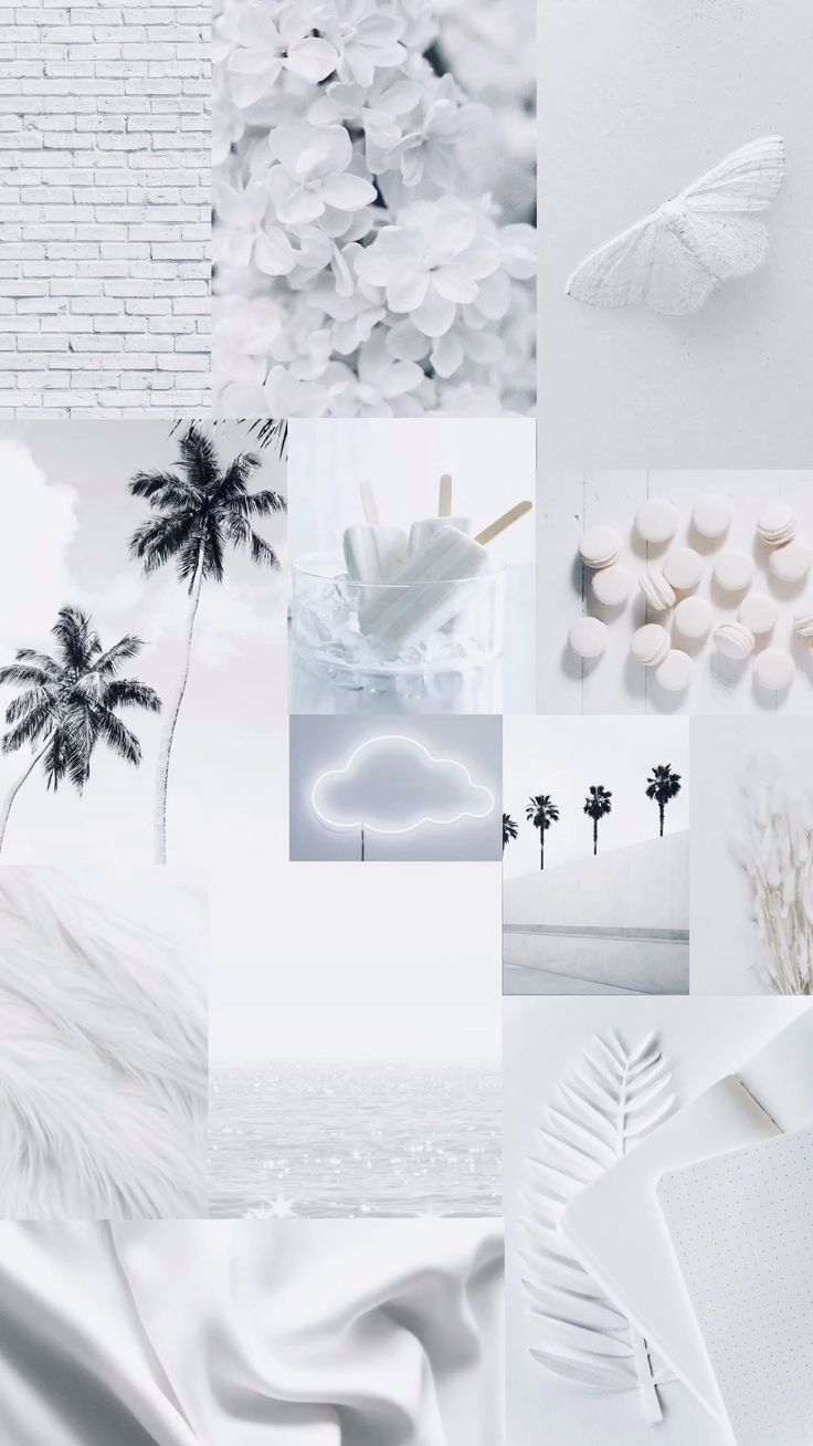 736x1308 White aesthetic wallpaper