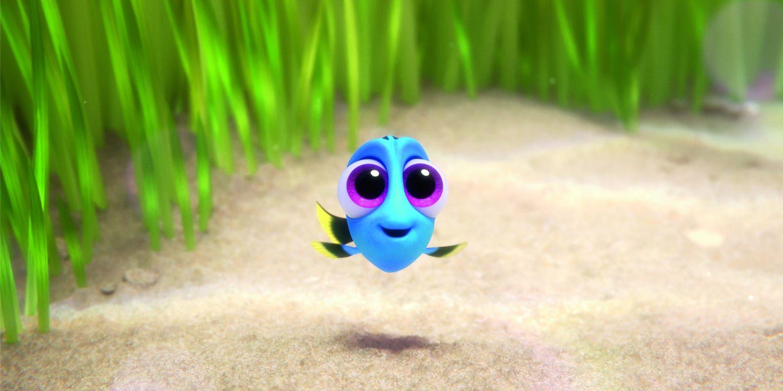 1600x800 Baby Dory is just one of the secret stars of 'Finding Dory'