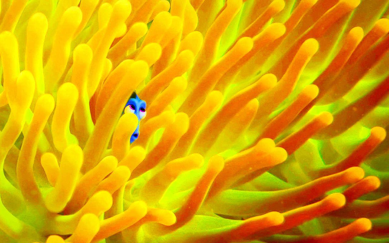 1280x800 Finding Dory Wallpaper dory Wallpaper 39704963