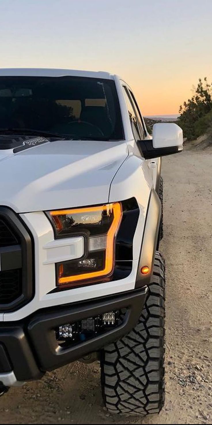 736x1472 Ford Raptor, 4x HD phone wallpaper
