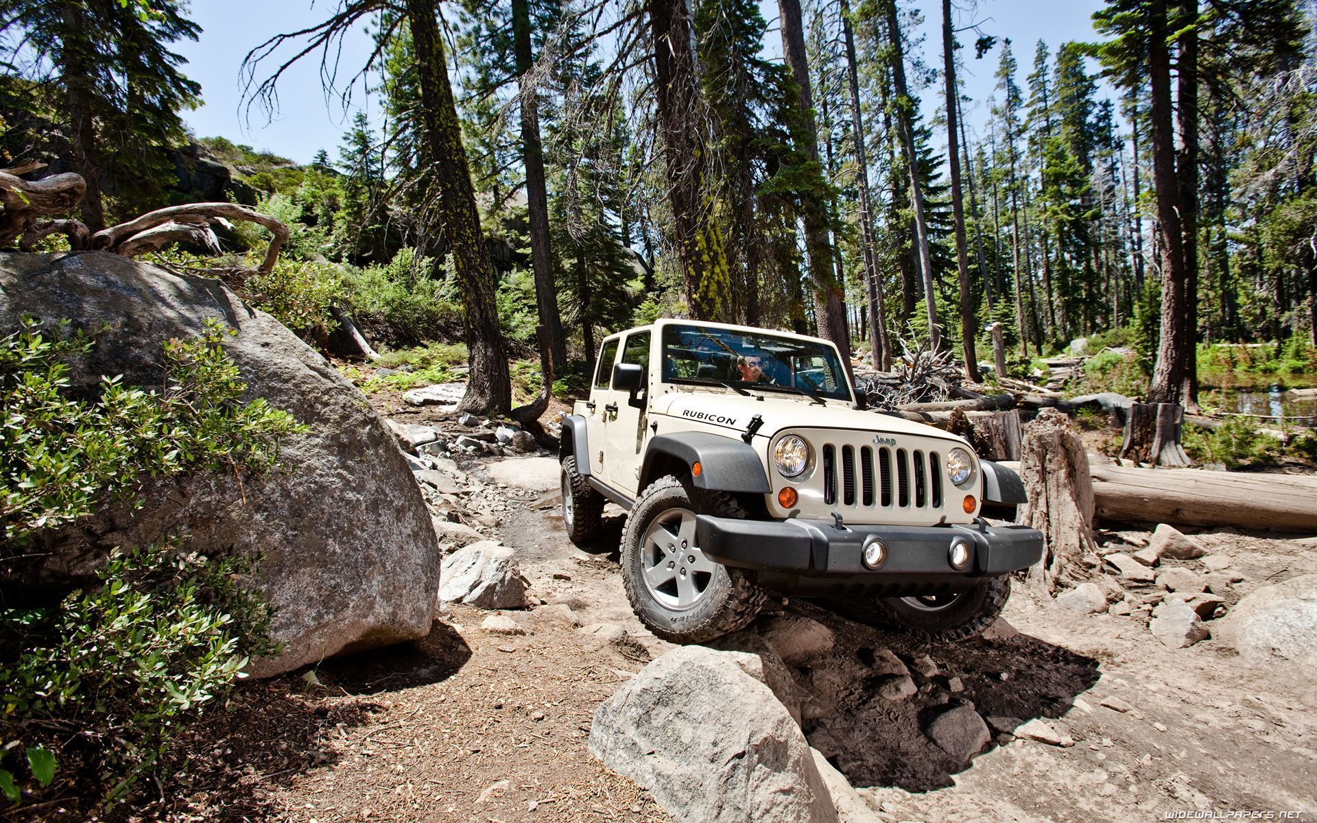 1920x1200 Off road cars desktop wallpaper HD