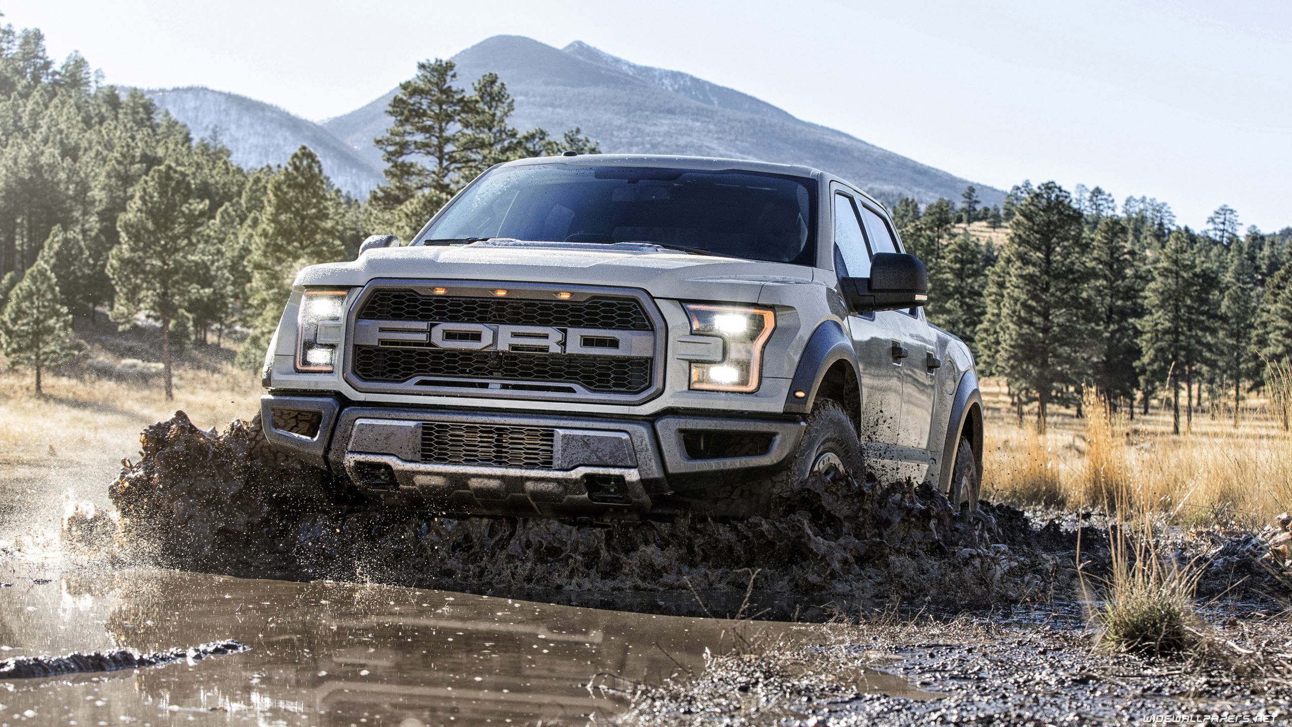 2560x1440 Off Road 4x4 cars desktop wallpaper 4K