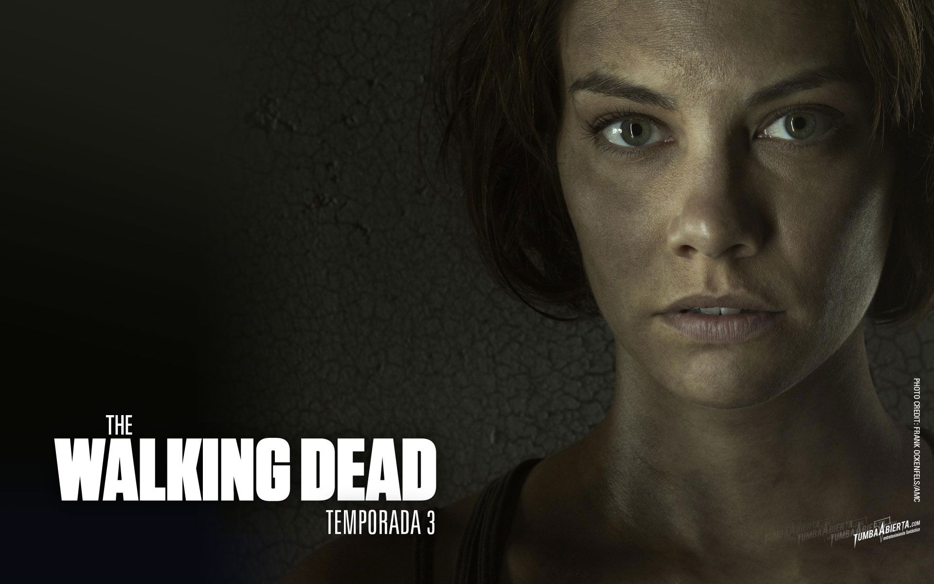 1920x1200 Maggie Greene HD Wallpaper