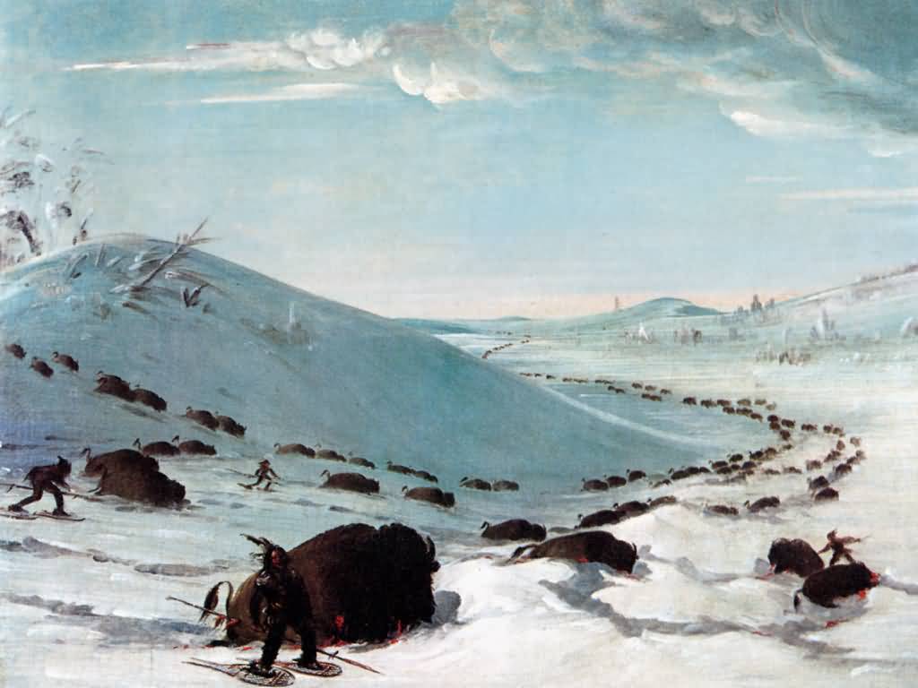 1024x768 George Catlin : Sioux Lancing Buffalo