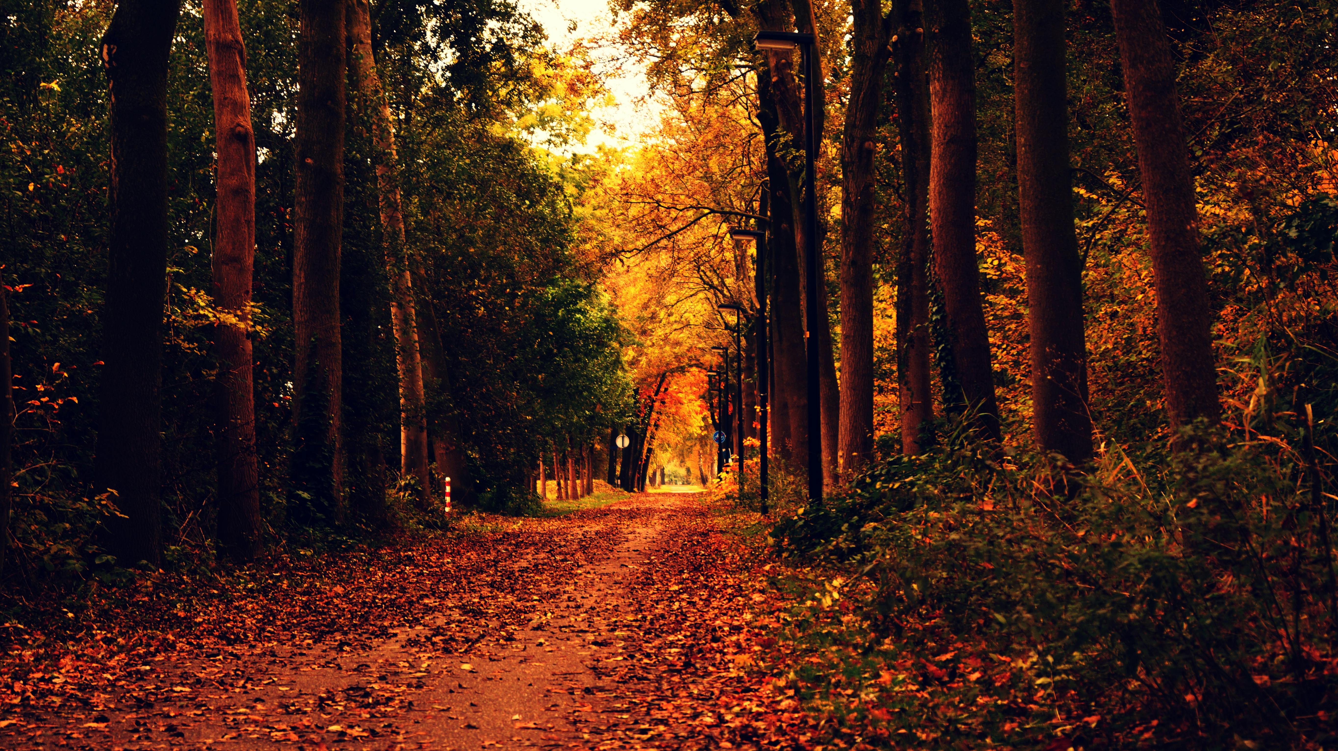 5456x3064 Autumn Wallpaper Photo, Download