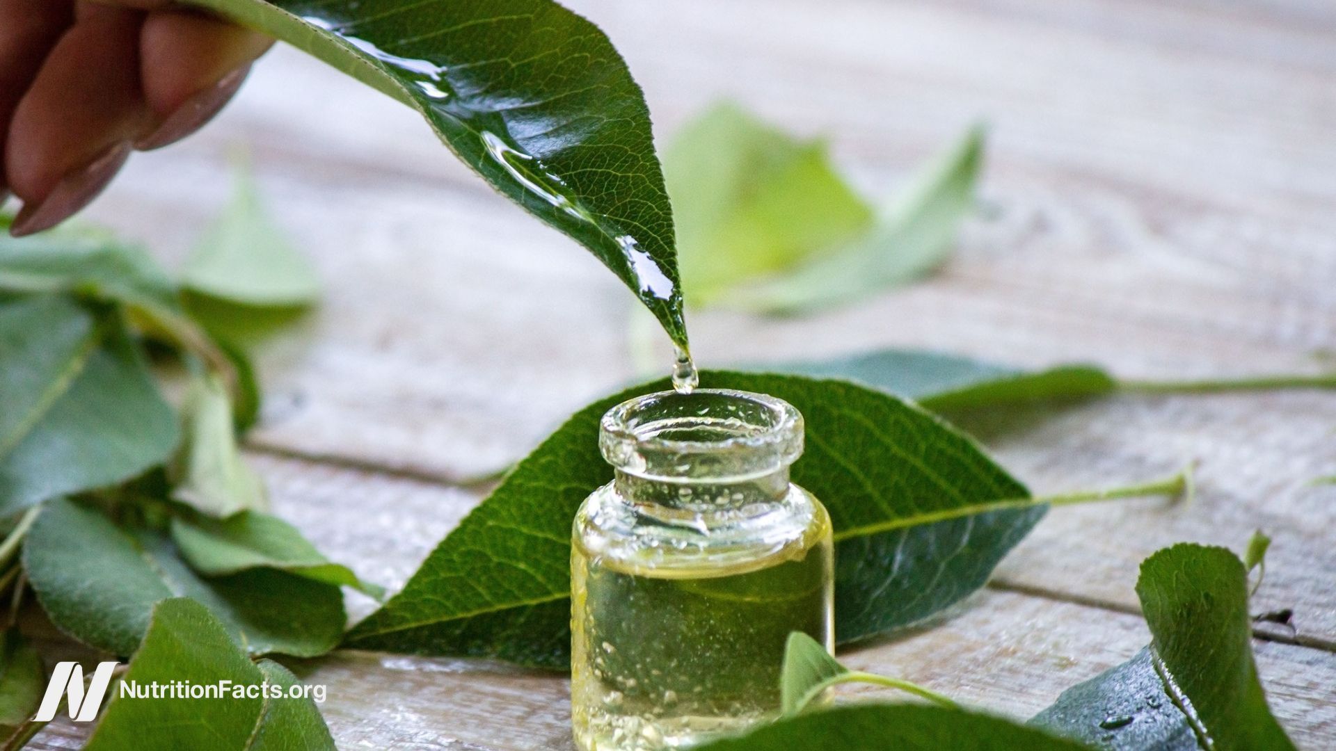 1920x1080 Safety Concerns with Tea Tree Oil?