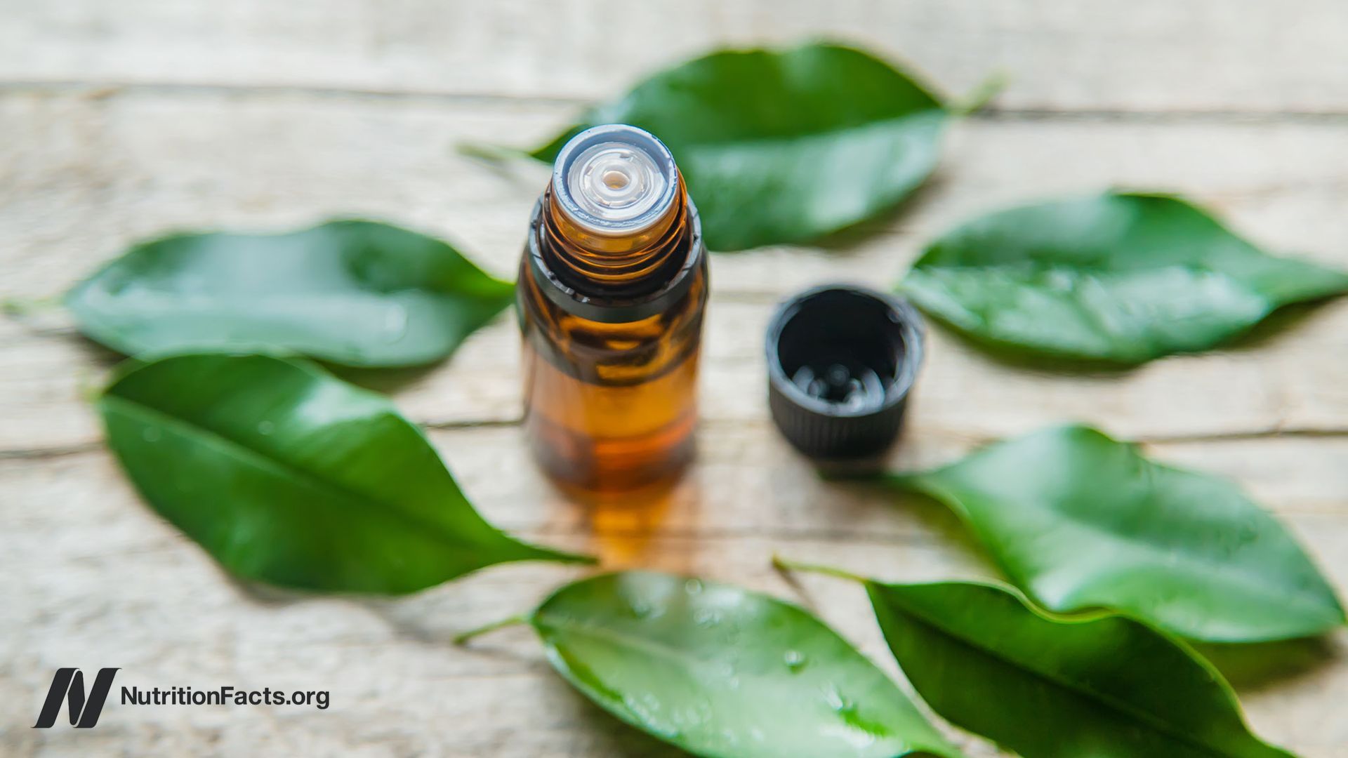 1920x1080 Tea Tree Oil and Hormonal Side Effects