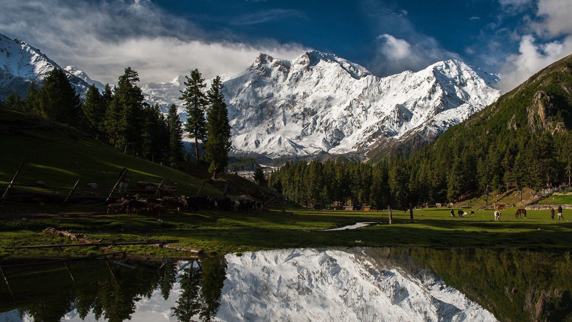 Nanga Wallpaper - Nanga Parbat Wallpapers - Top Free Nanga Parbat Backgrounds -  WallpaperAccess