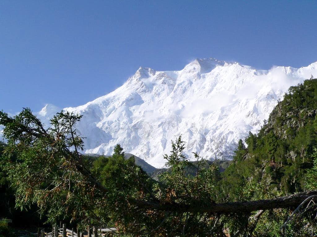 1024x768 Nanga Parbat from Fairy Meadows : Photo, Diagrams & Topos