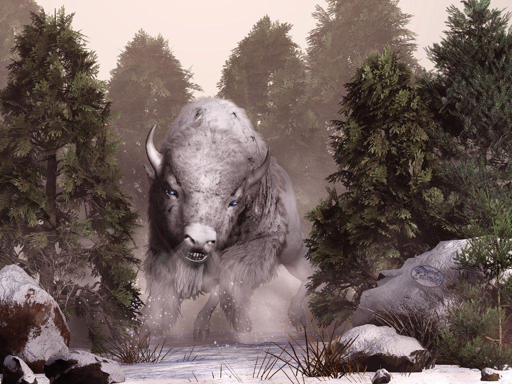 1024x768 The White Buffalo