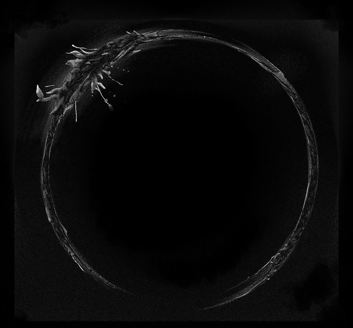 1209x1125 RINGU 1