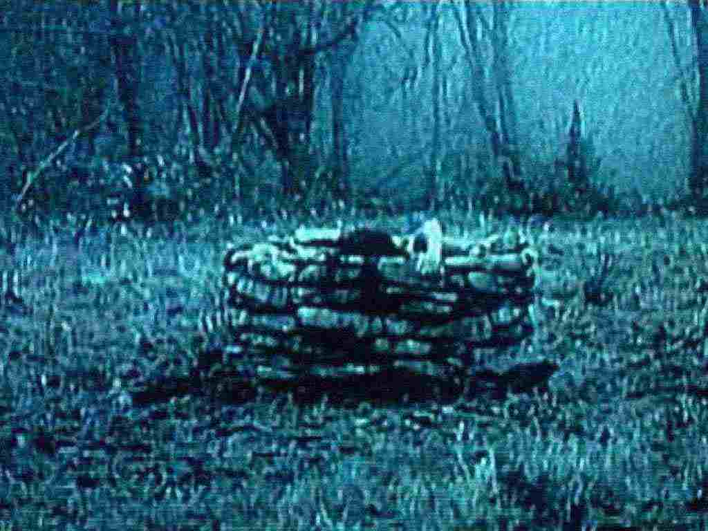 1024x768 Facts About Ringu The Ring. Geordie