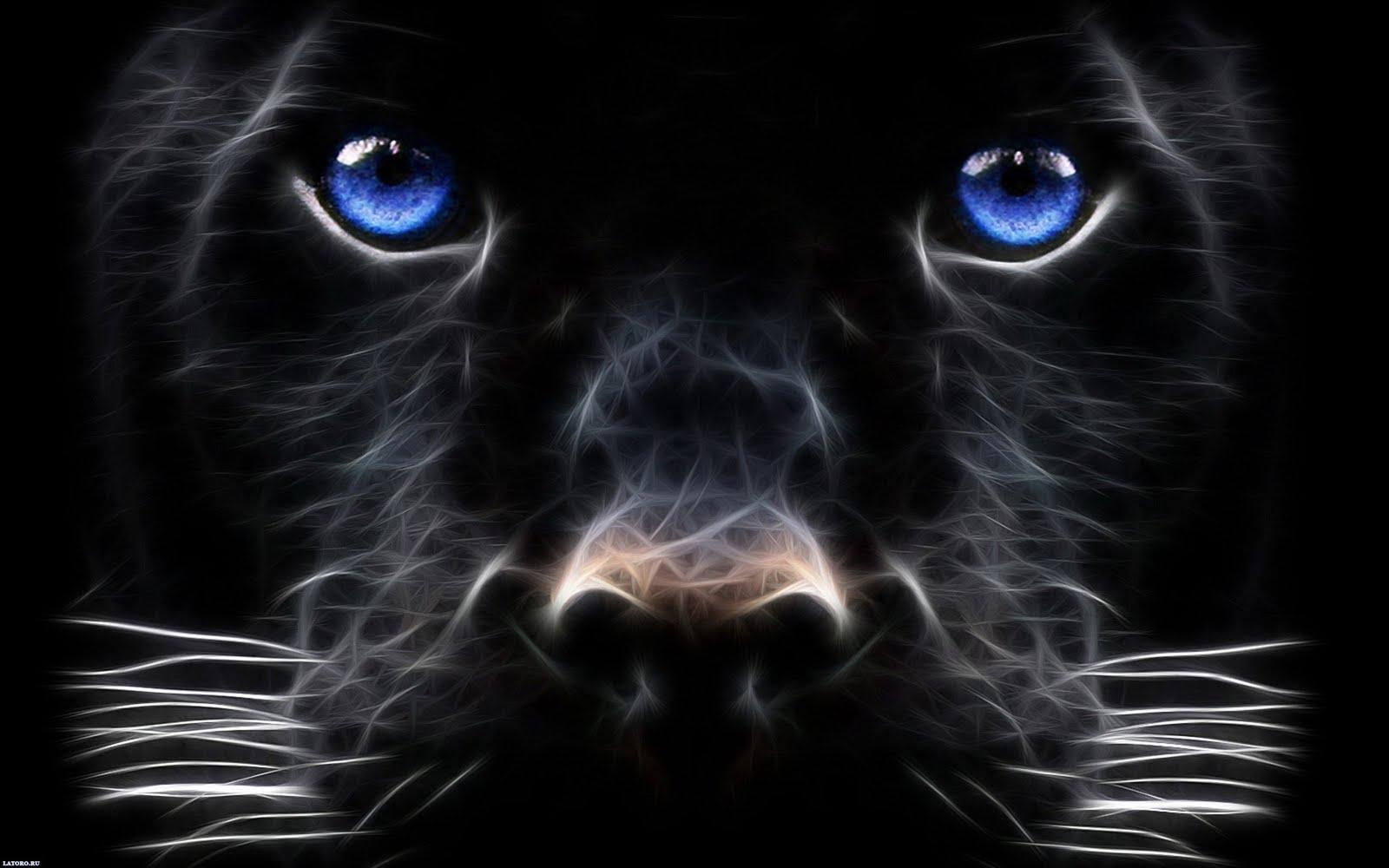 1600x1000 Black Beast Wallpaper