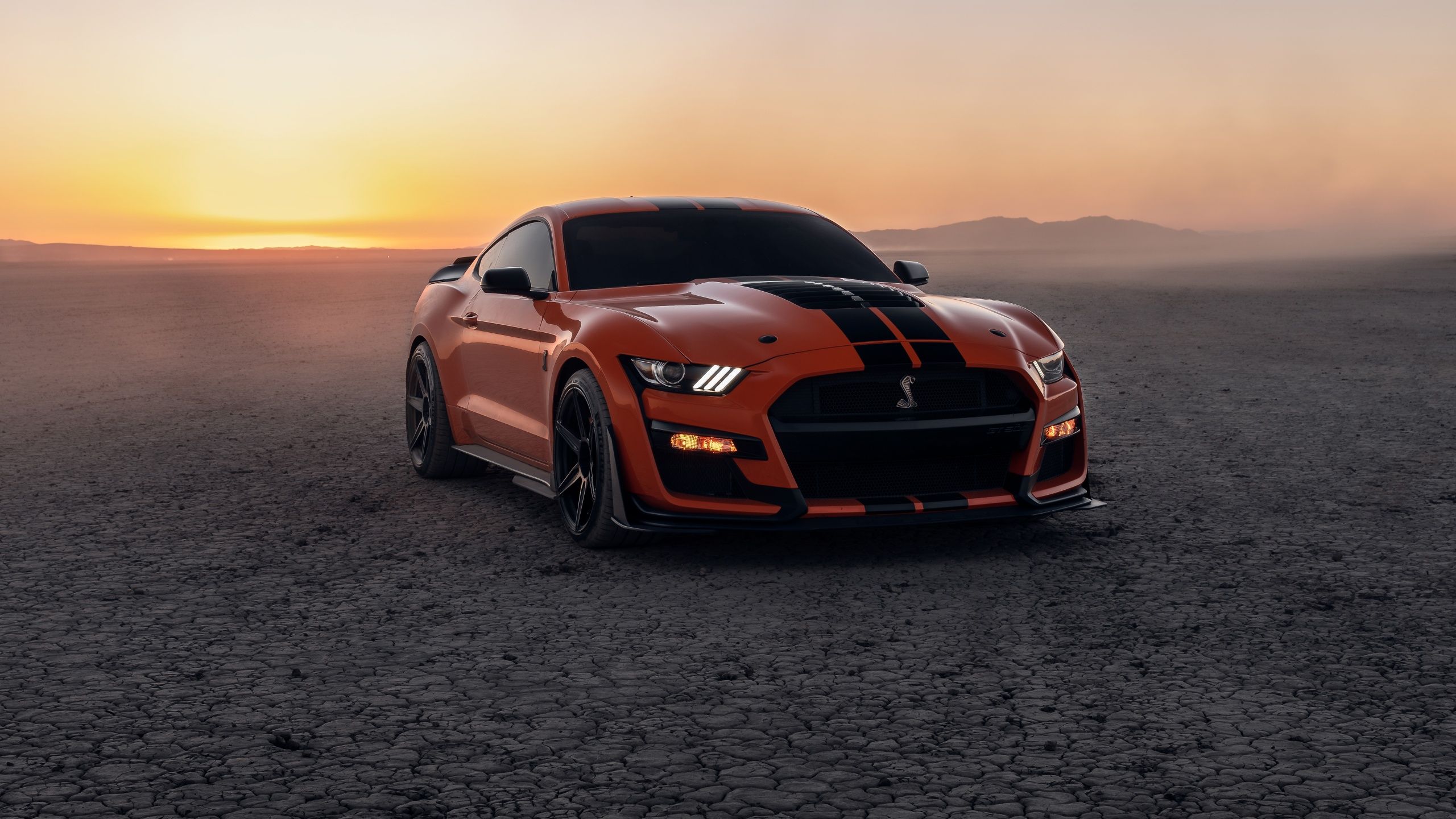 2560x1440 Ford Mustang Shelby GT500 Wallpaper 4K, Sports cars, 5K