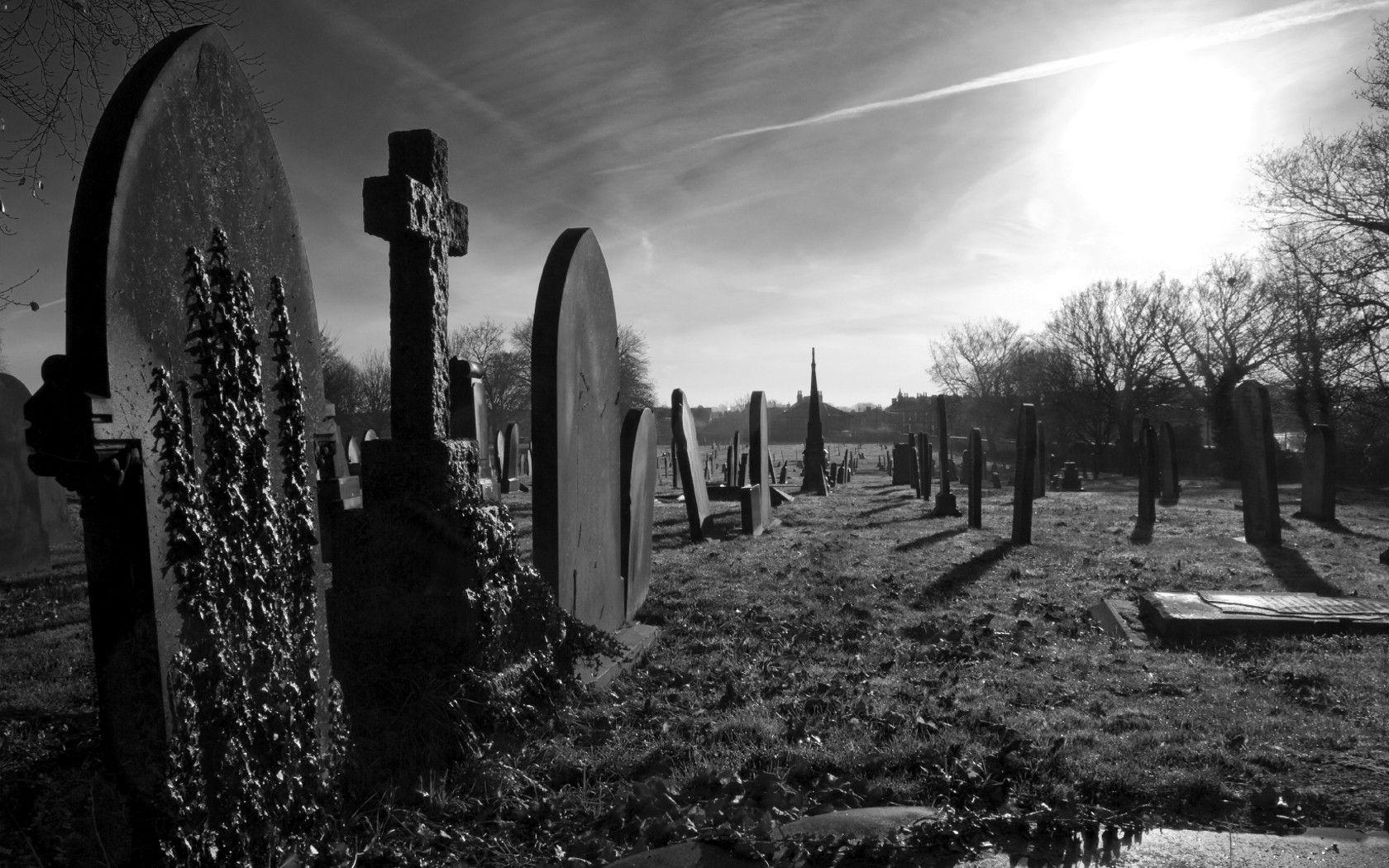 1680x1050 black, Dark, Gothic, Cemetery Wallpaper HD / Desktop