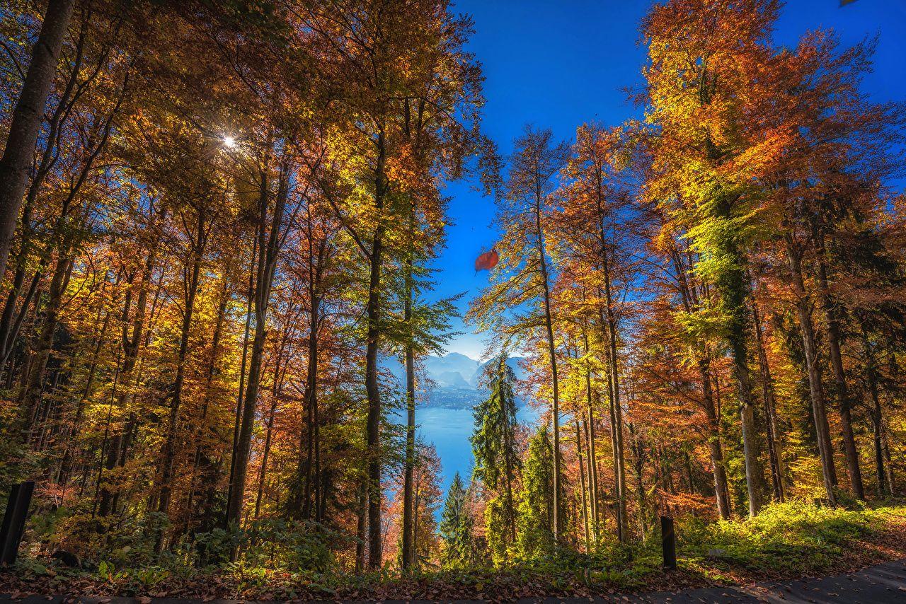 Switzerland Autumn Wallpapers Top Free Switzerland Autumn Backgrounds