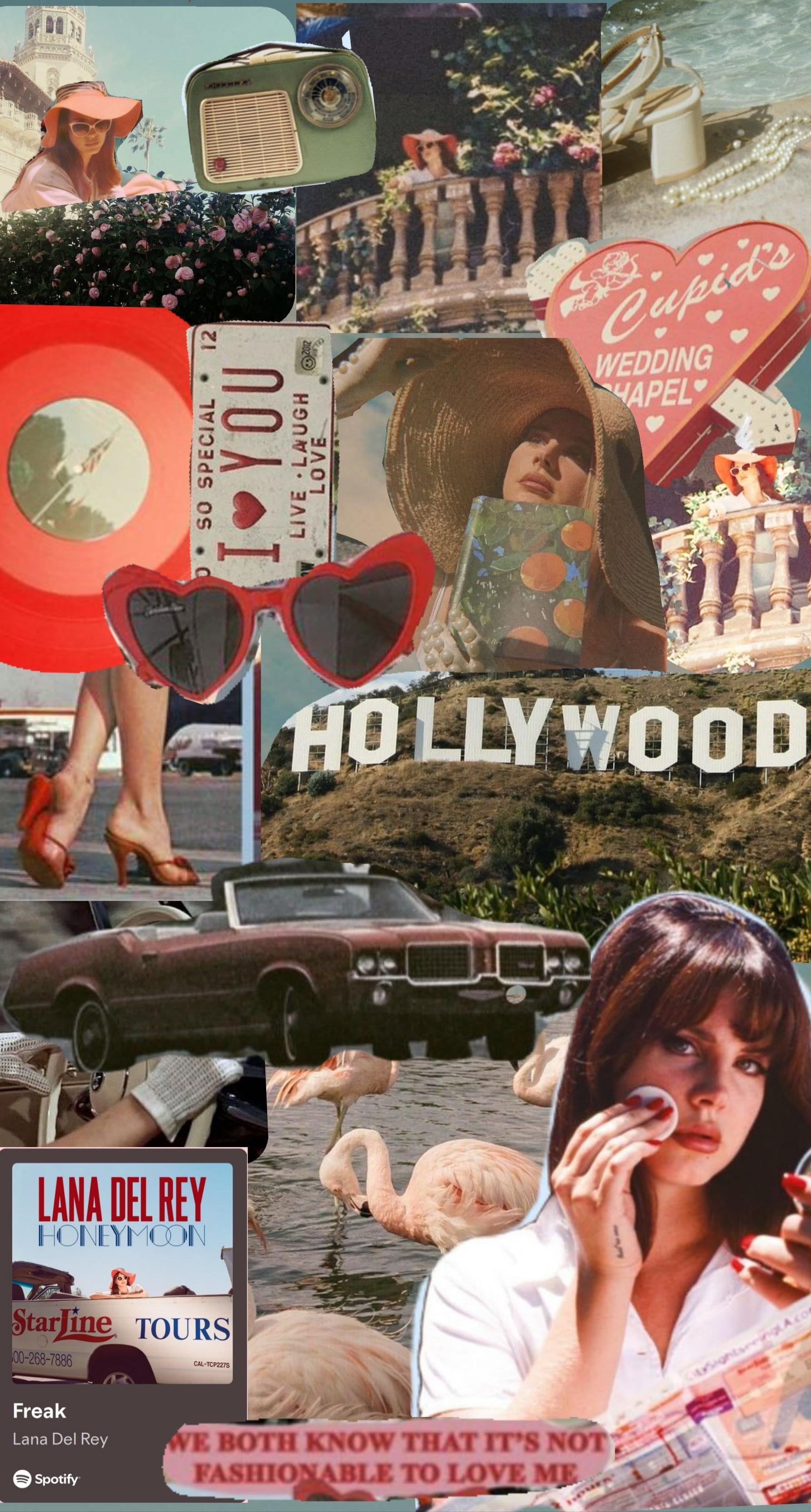 1785x3328 Made a honeymoon themed collage : r