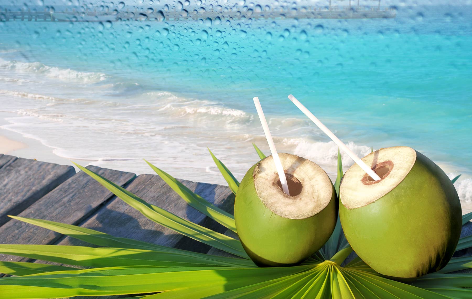 Green Coconut Wallpapers - Top Free Green Coconut Backgrounds -  WallpaperAccess