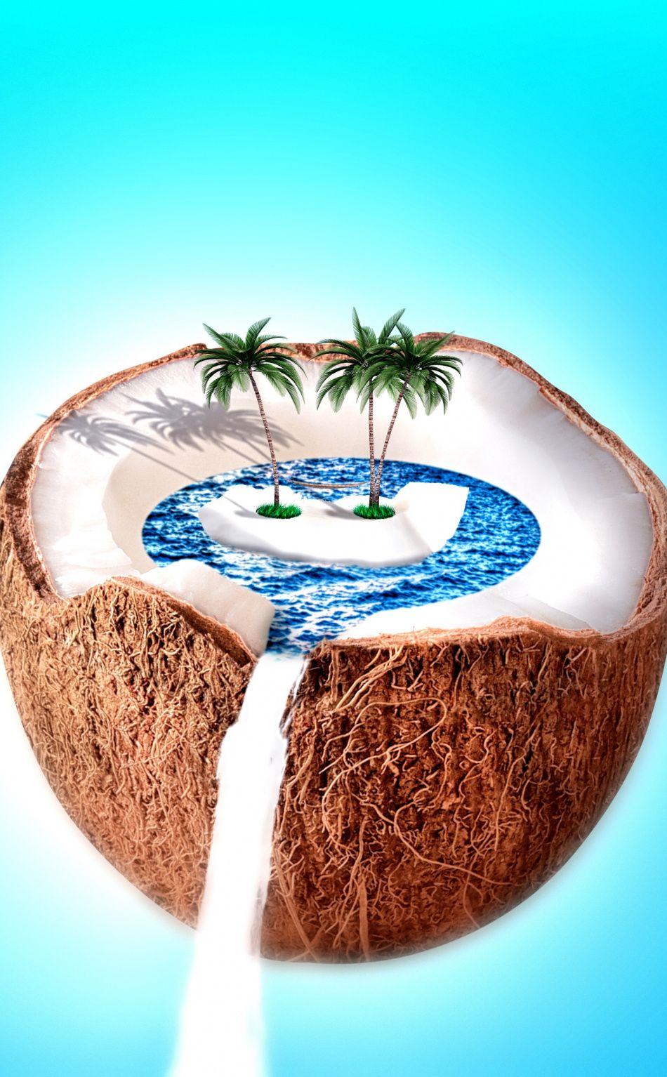 Coconut Wallpapers Top Free Coconut Backgrounds Wallpaperaccess