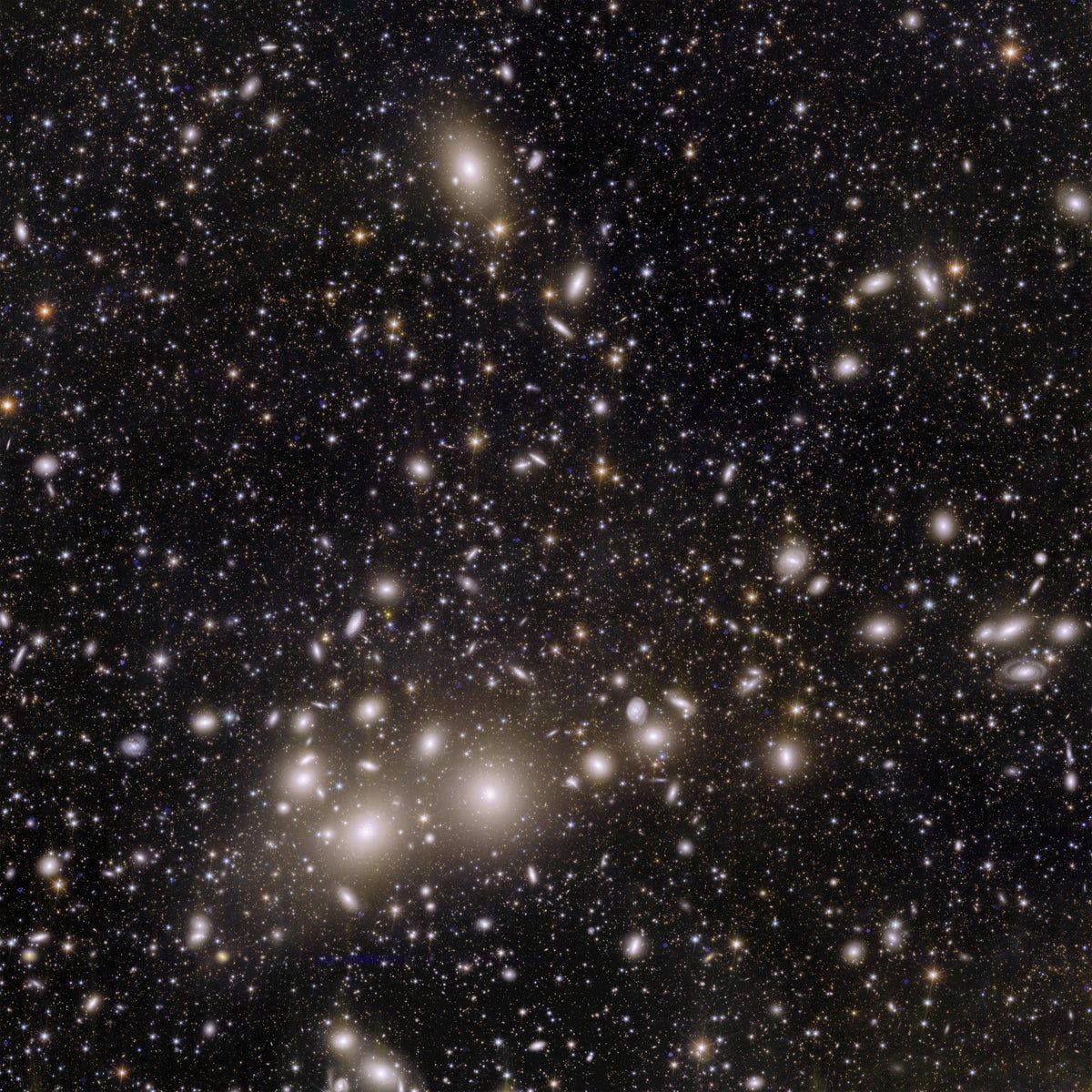 1200x1200 Euclid Space Telescope Releases