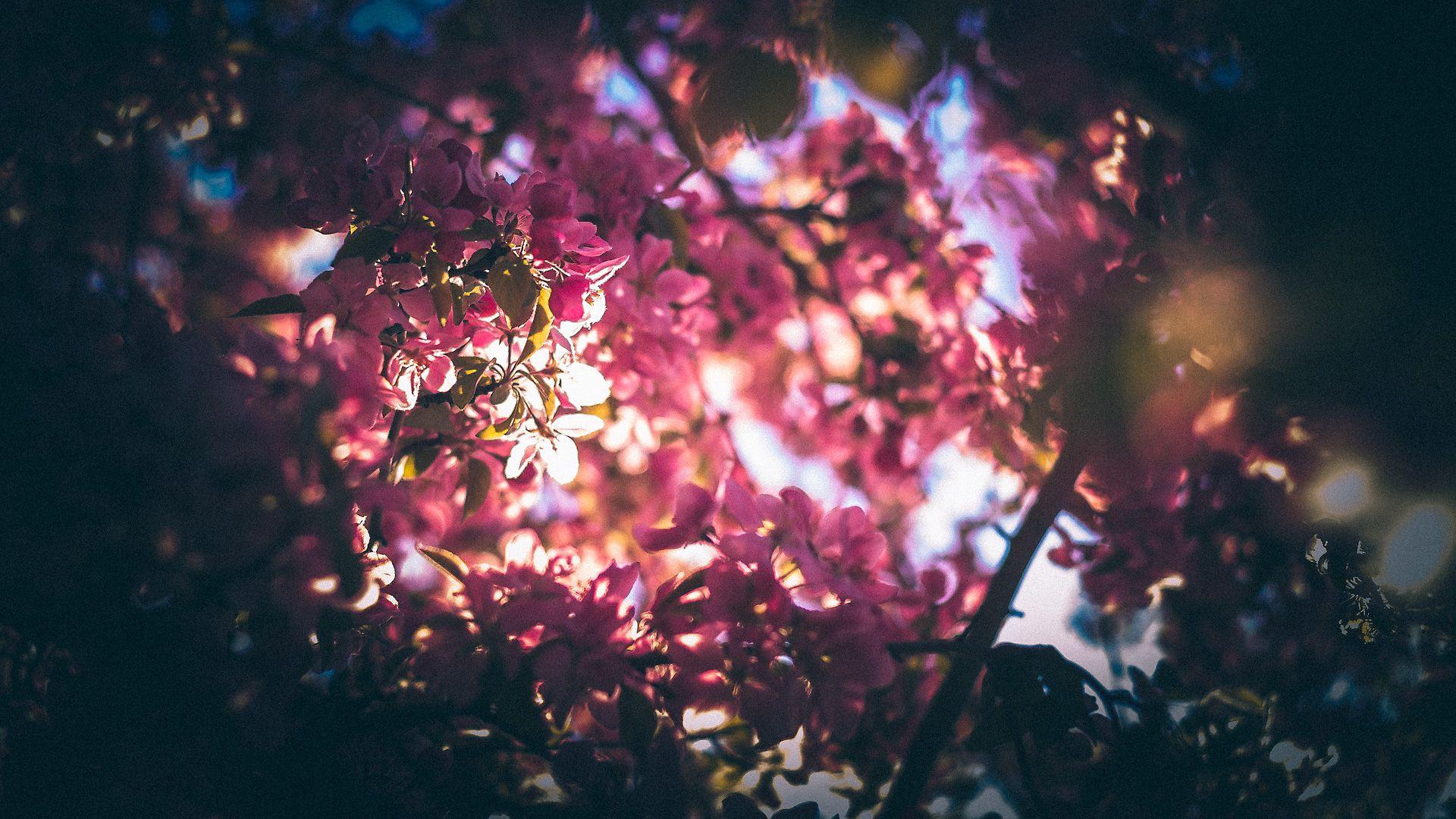 1920x1080 hipster wallpaper hd