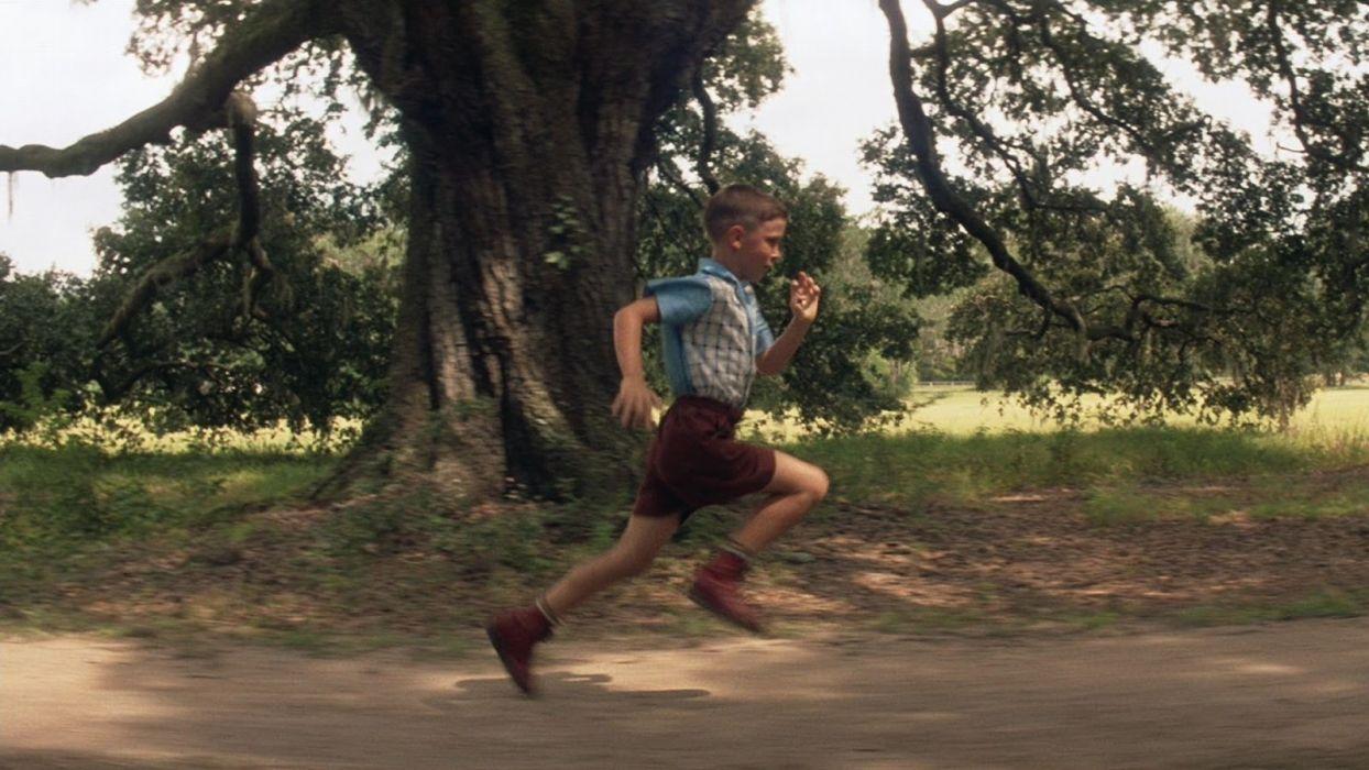 1244x700 FORREST GUMP comedy drama 5 wallpaperx900