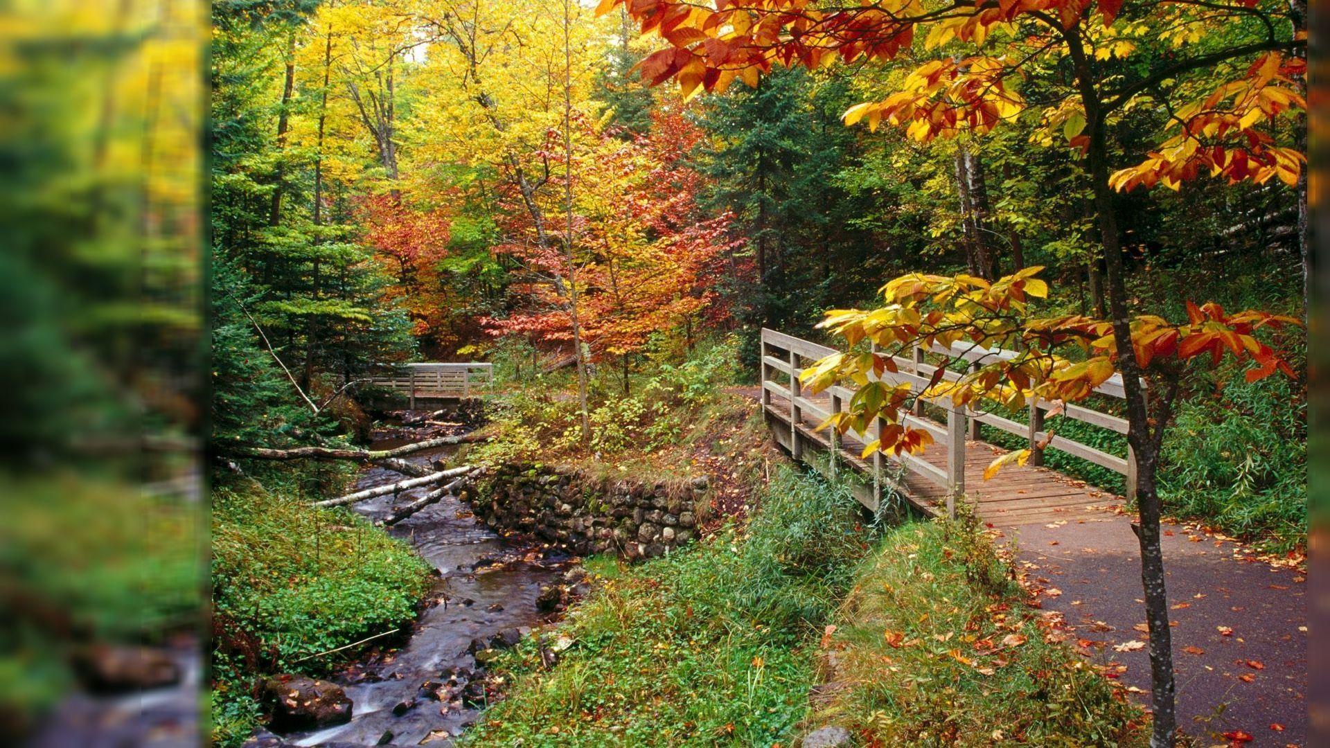 1920x1080 Fall Wallpaper Desktop