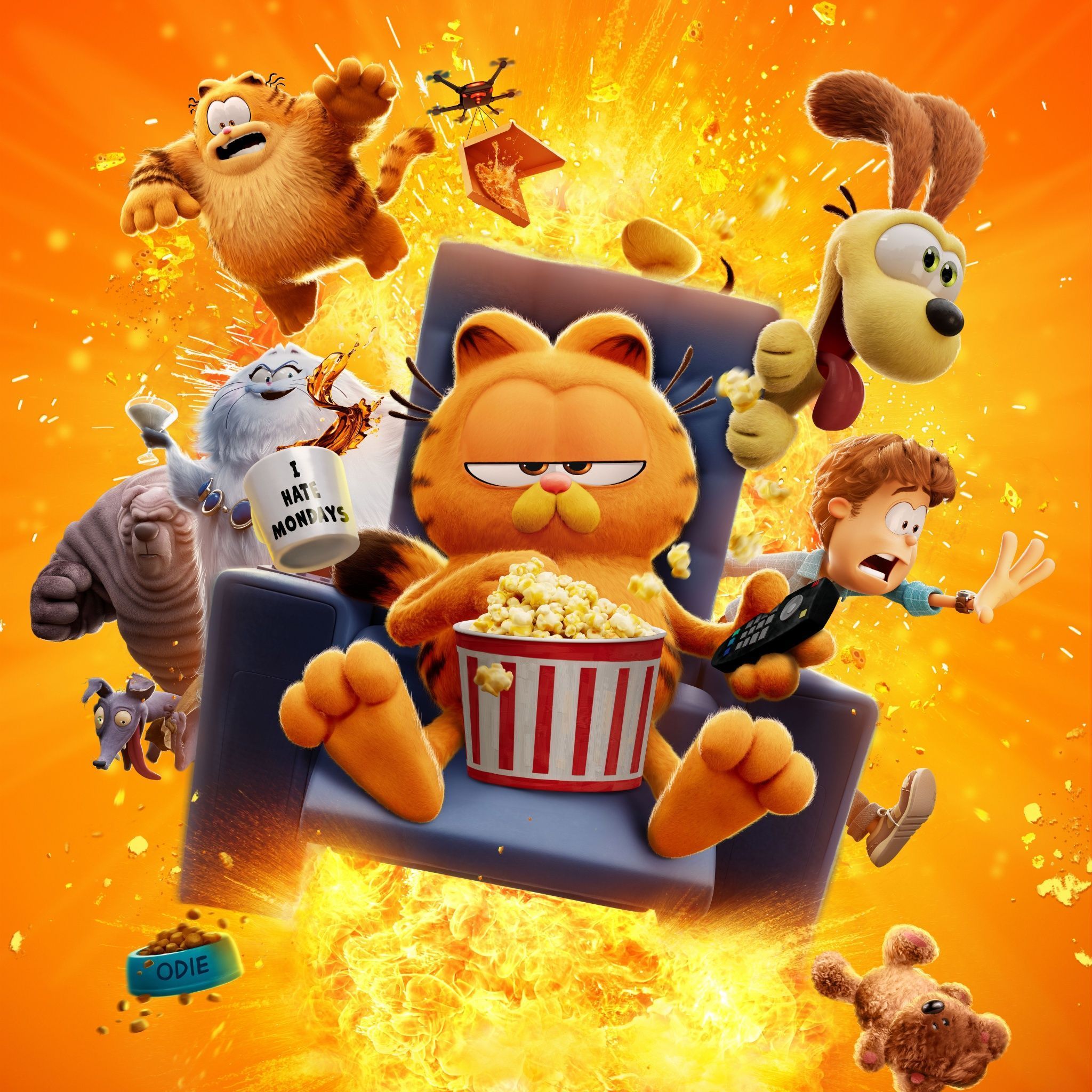 The Garfield Movie Wallpapers - Top Free The Garfield Movie Backgrounds ...