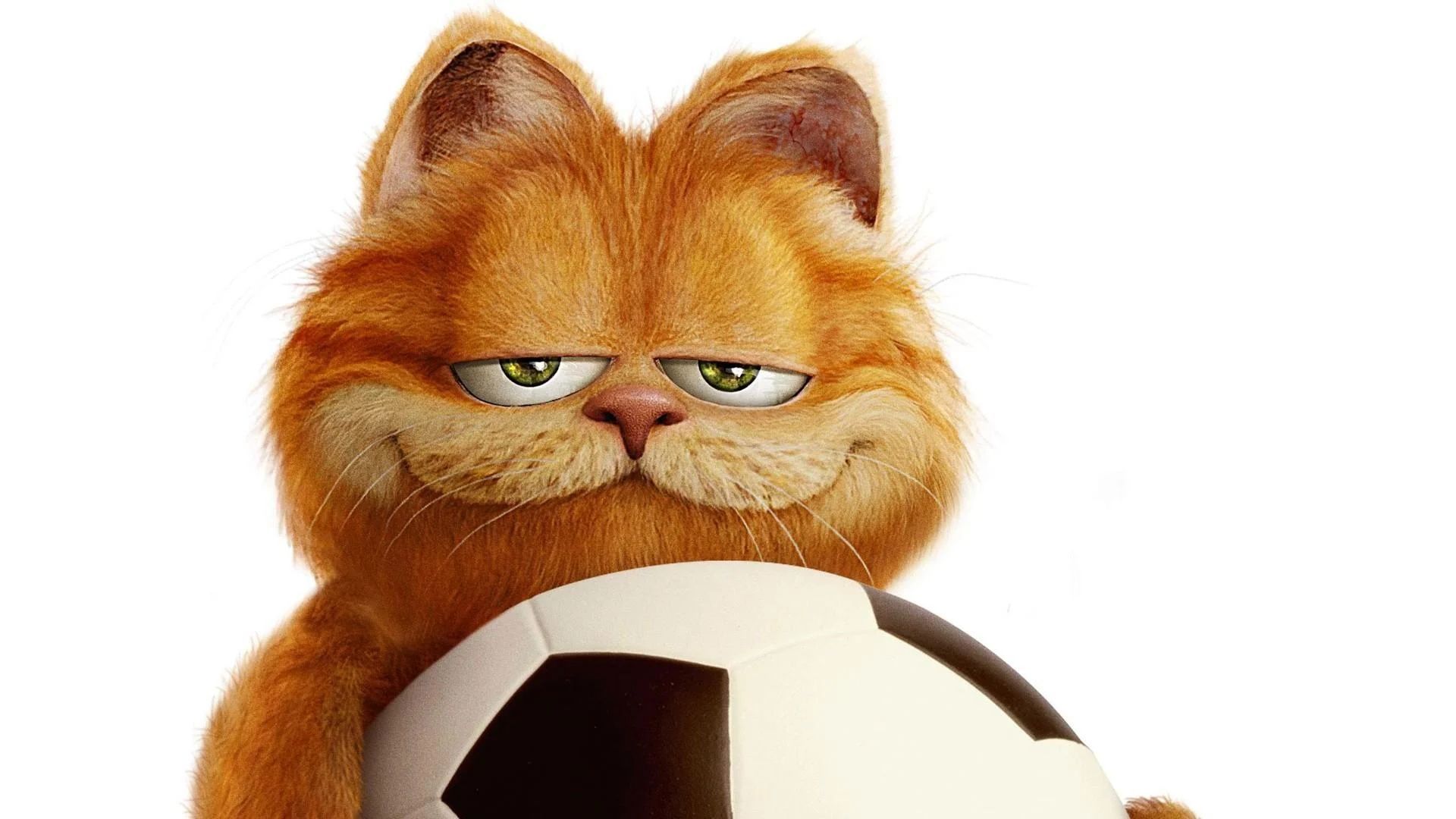 The Garfield Movie Wallpapers - Top Free The Garfield Movie Backgrounds ...