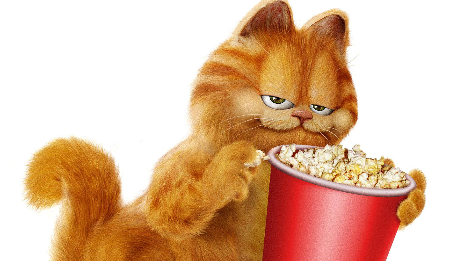 The Garfield Movie Wallpapers - Top Free The Garfield Movie Backgrounds ...