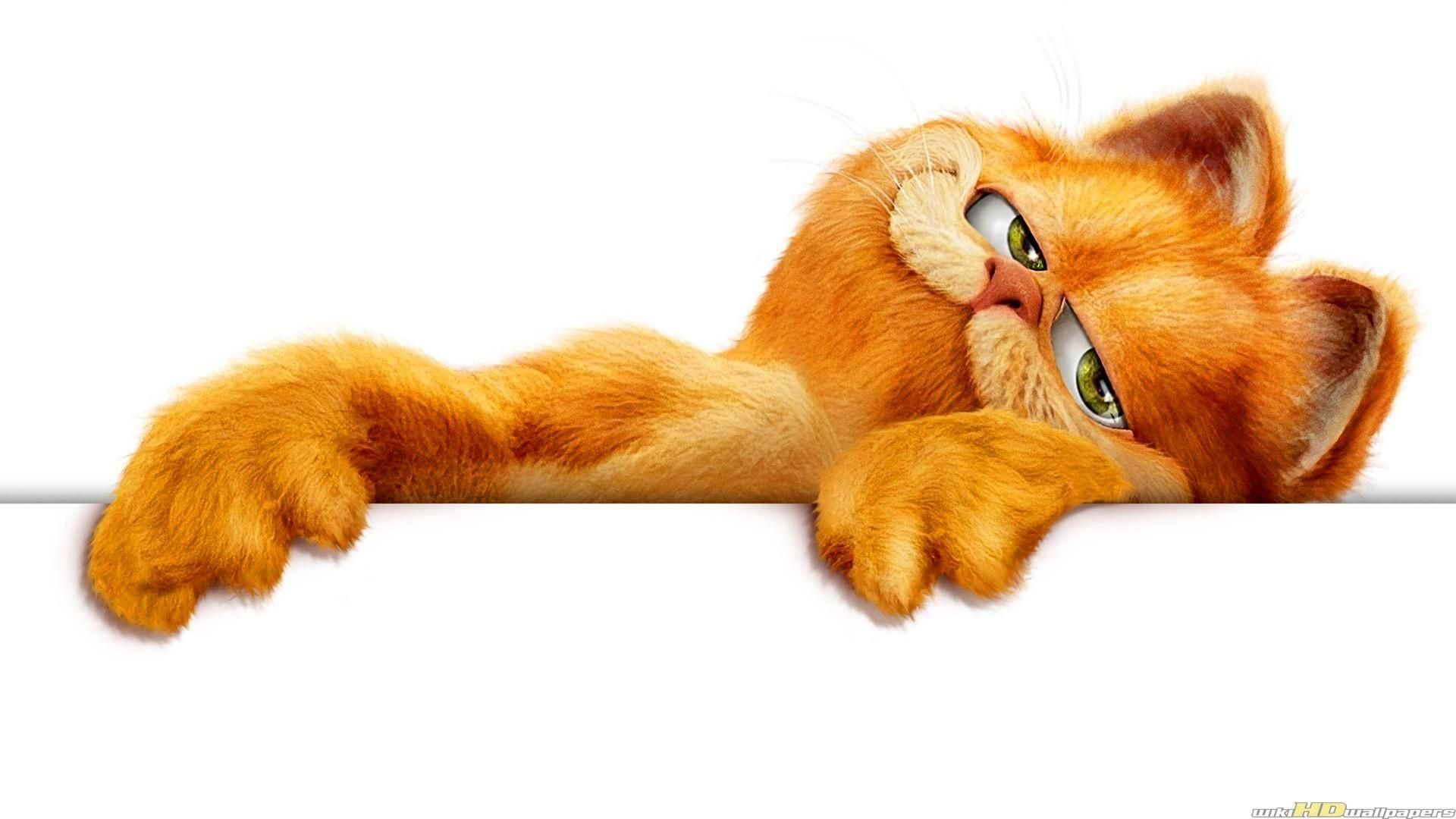 1920x1080 Garfield Wallpaper 32 image