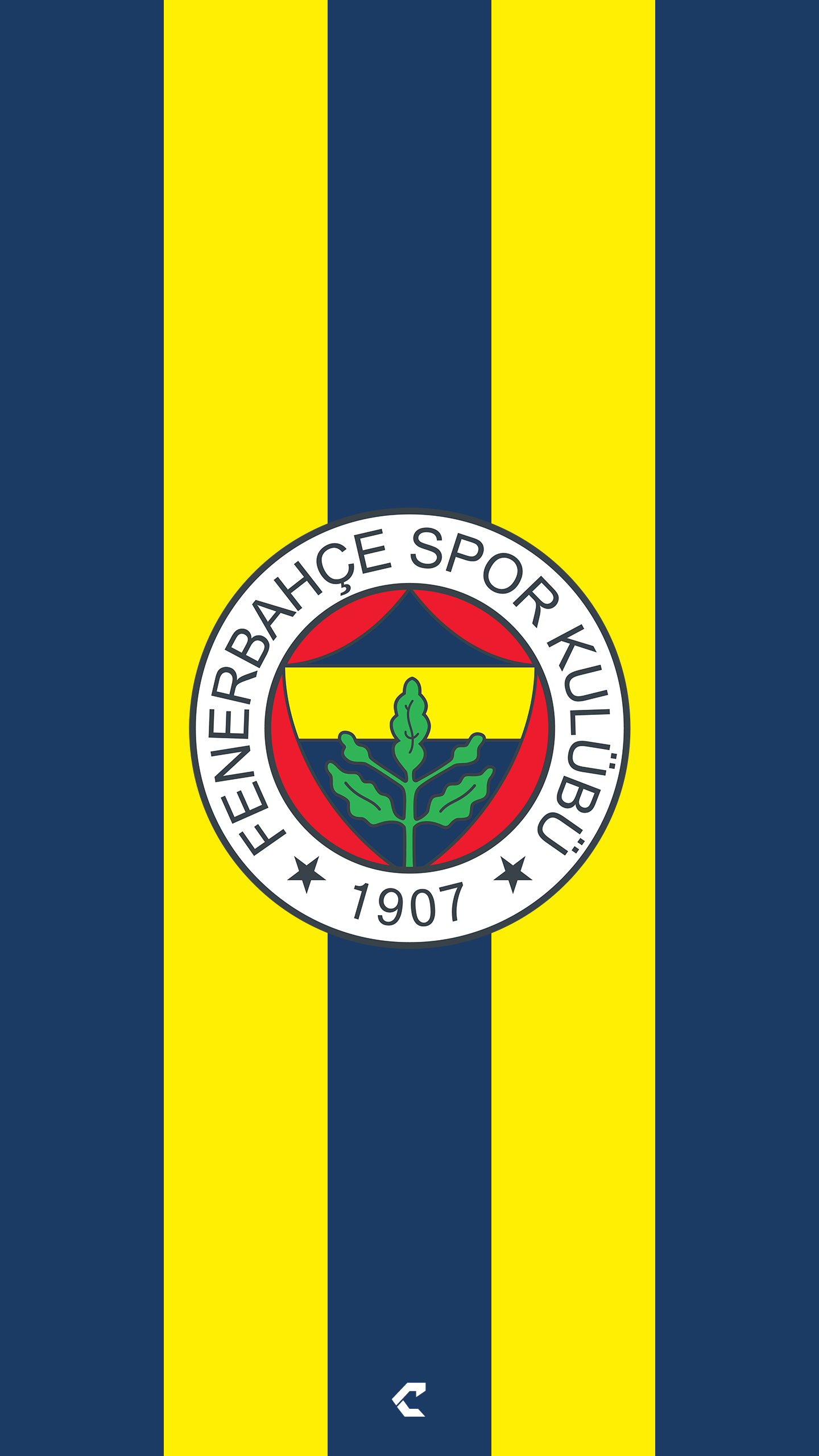 1440x2560 Fenerbahçe SK hình nền