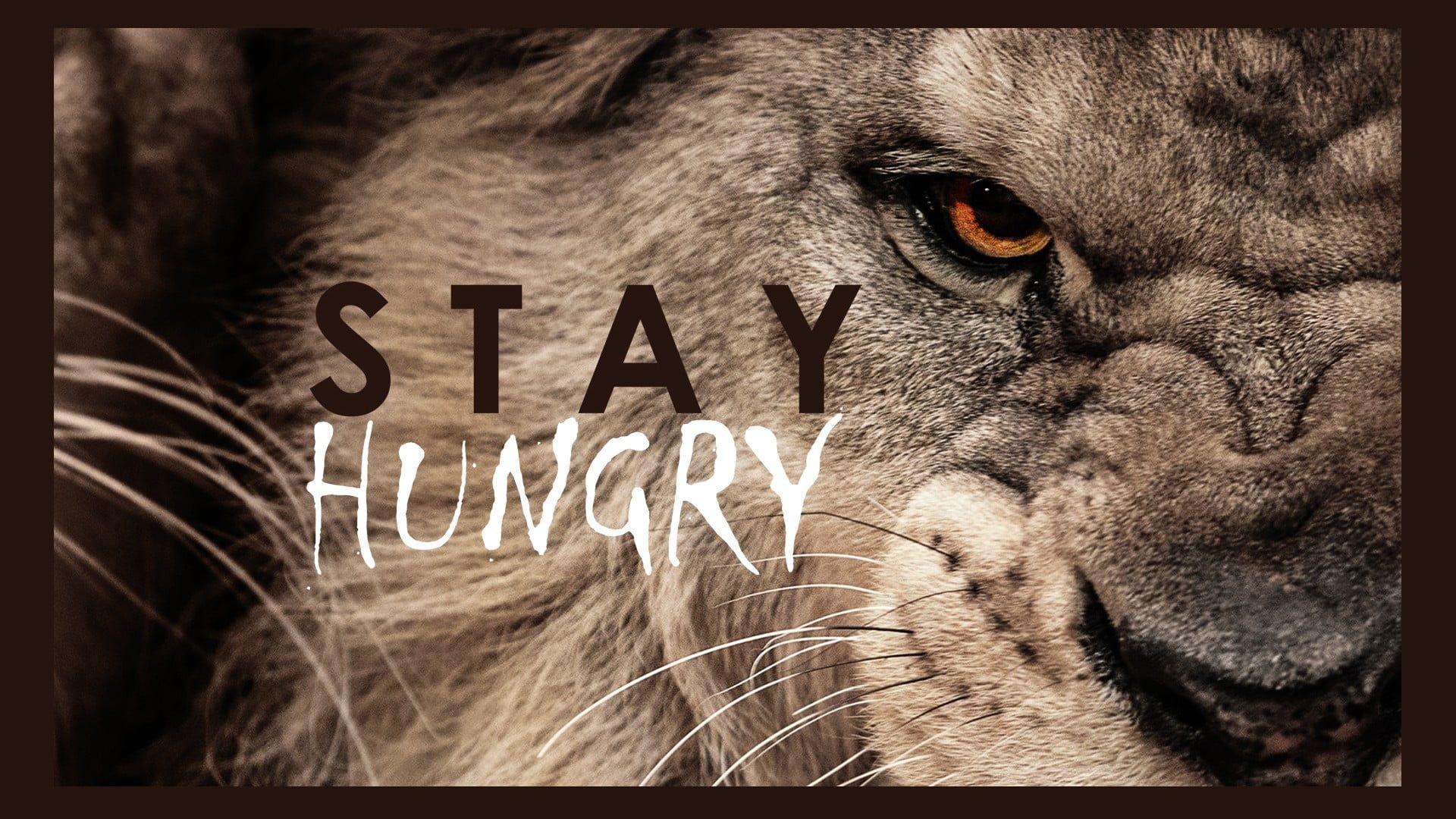 Stay Hungry Wallpapers Top Free Stay Hungry Backgrounds WallpaperAccess