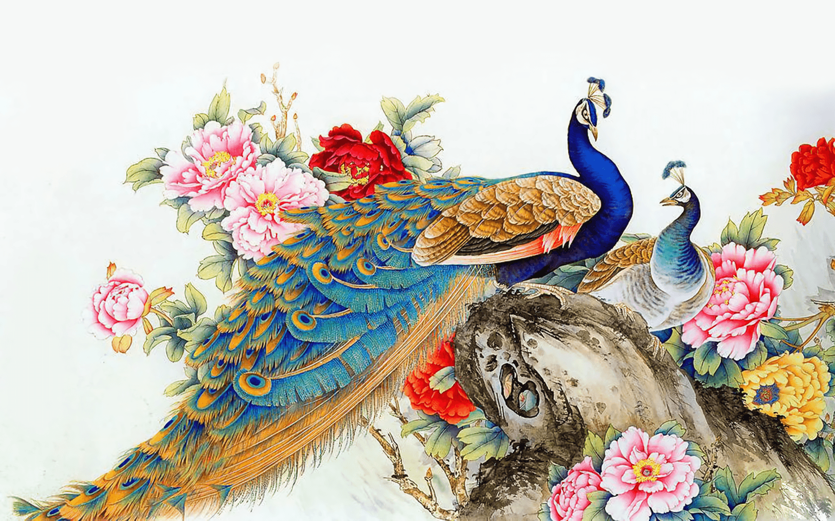 Peacock Bird Design Wallpapers - Top Free Peacock Bird Design ...