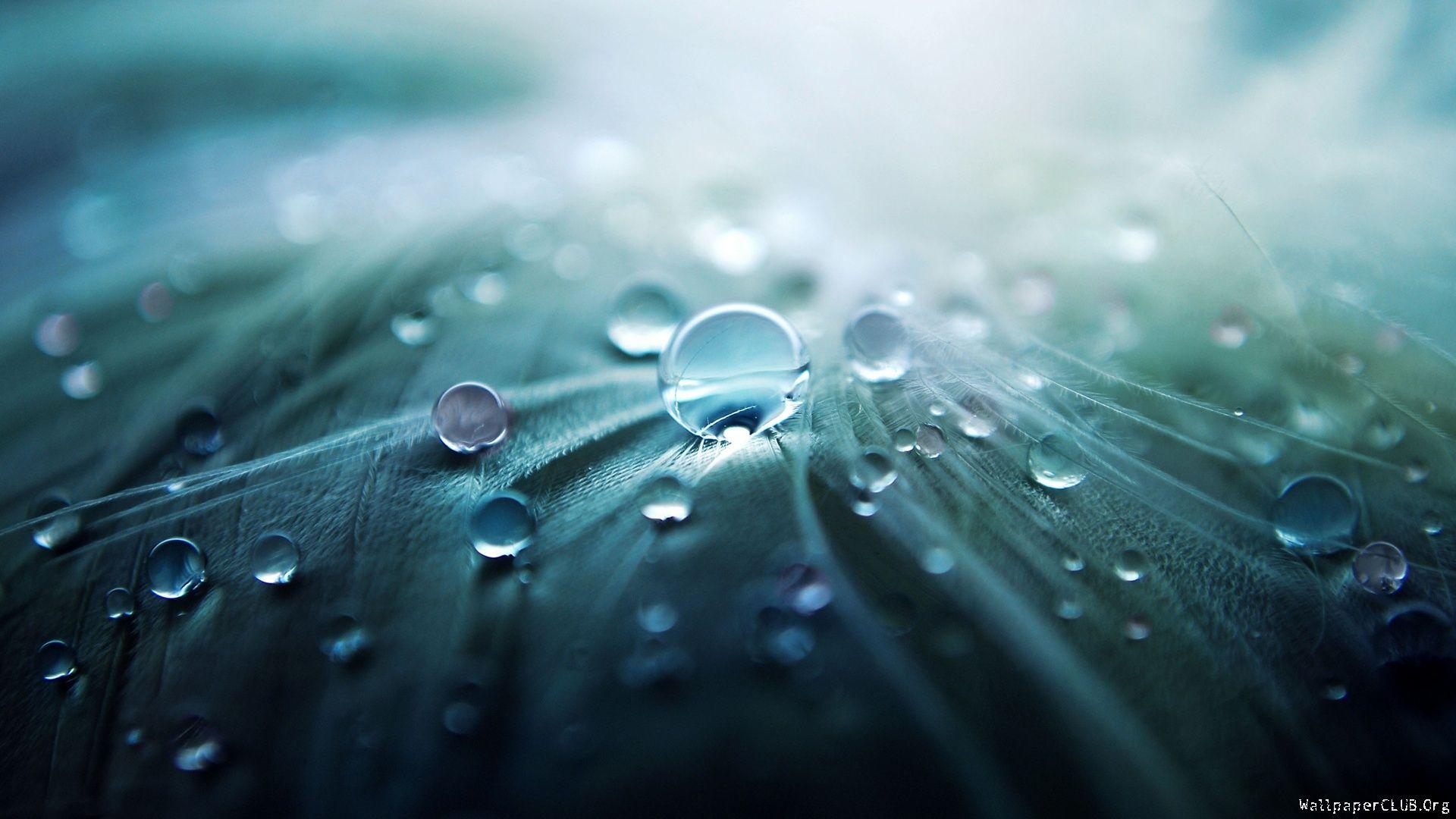 1920x1080 Stunning wallpaperx1080