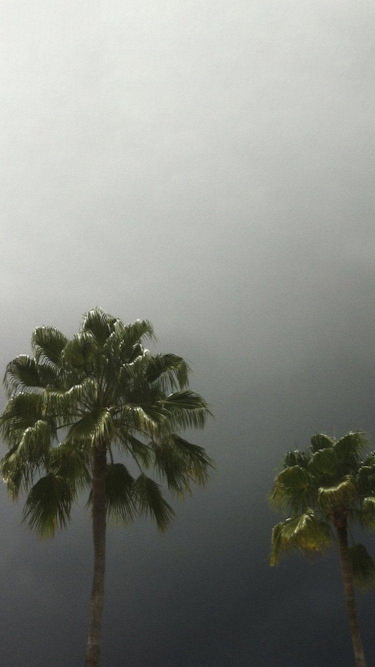 750x1334 A couple of $uicideboy$ phone wallpaper
