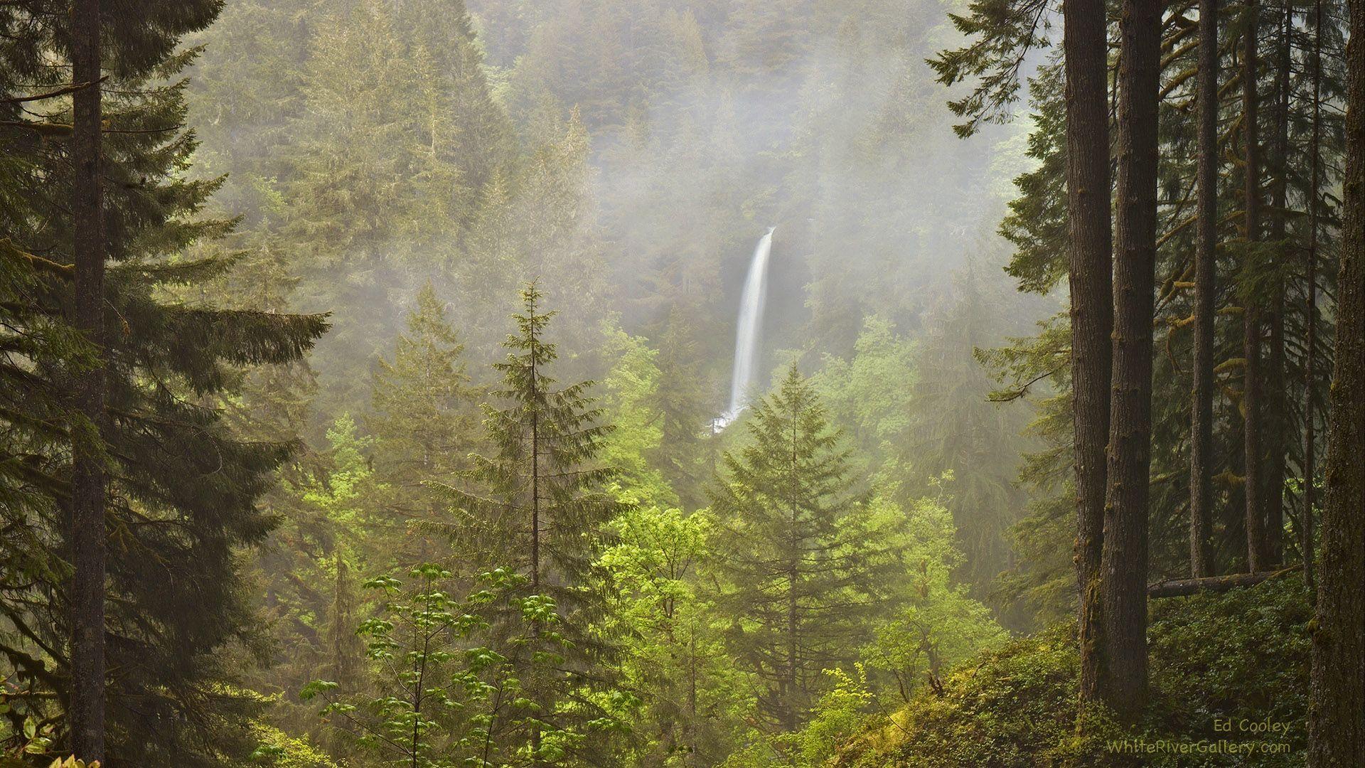 1920x1080 Pacific Northwest Wallpaper