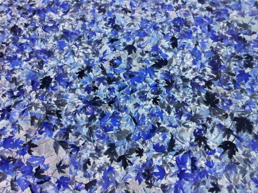 1024x768 Blue Camouflage hình nền