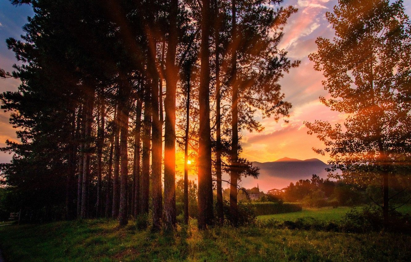 1332x850 Summer Village Wallpaper