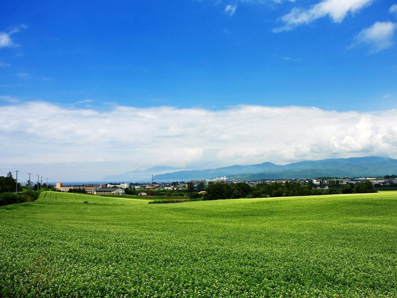 1600x1200 Download wallpaper 1600x1200 field