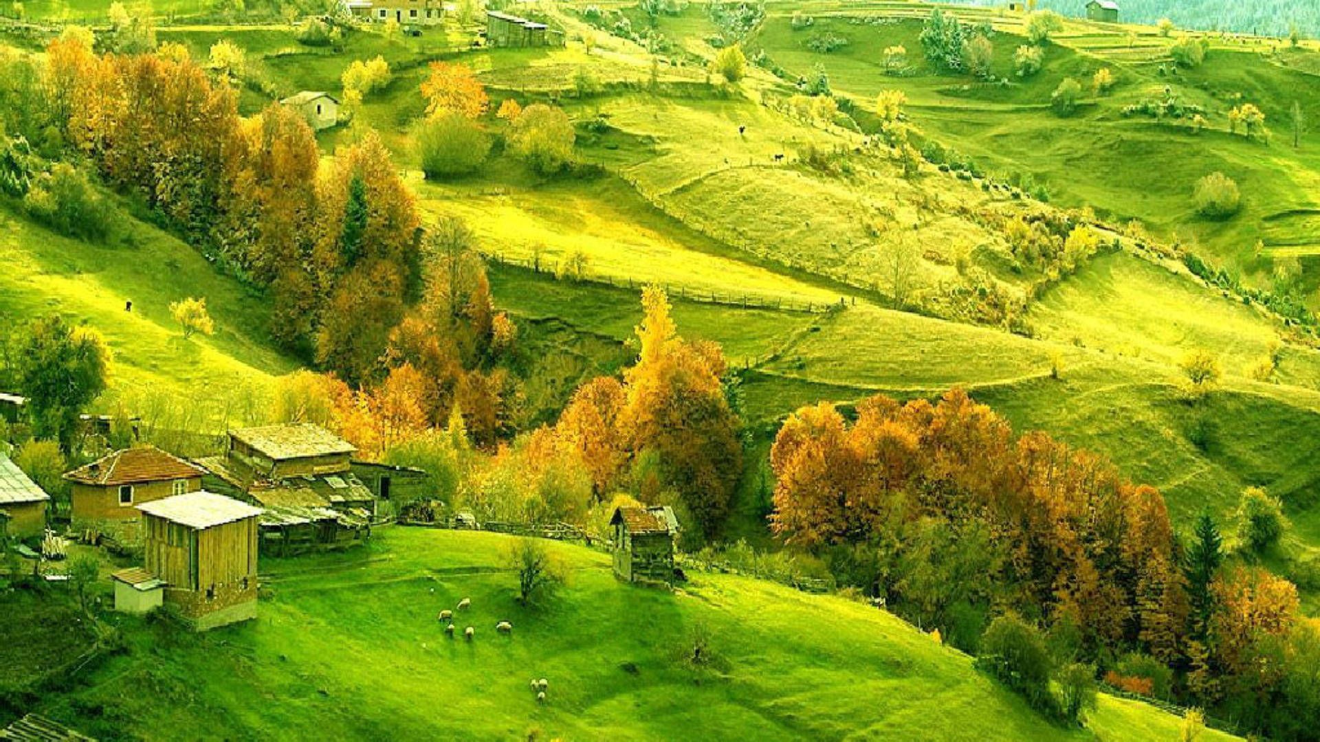 1920x1080 Country Summer Wallpaper