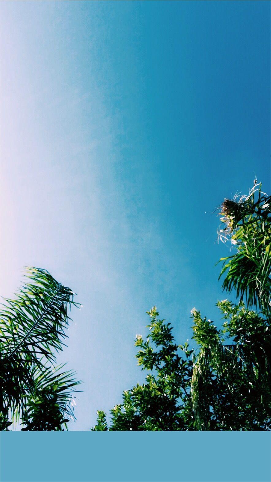 VSCO Blue Wallpapers Top Free VSCO Blue Backgrounds WallpaperAccess