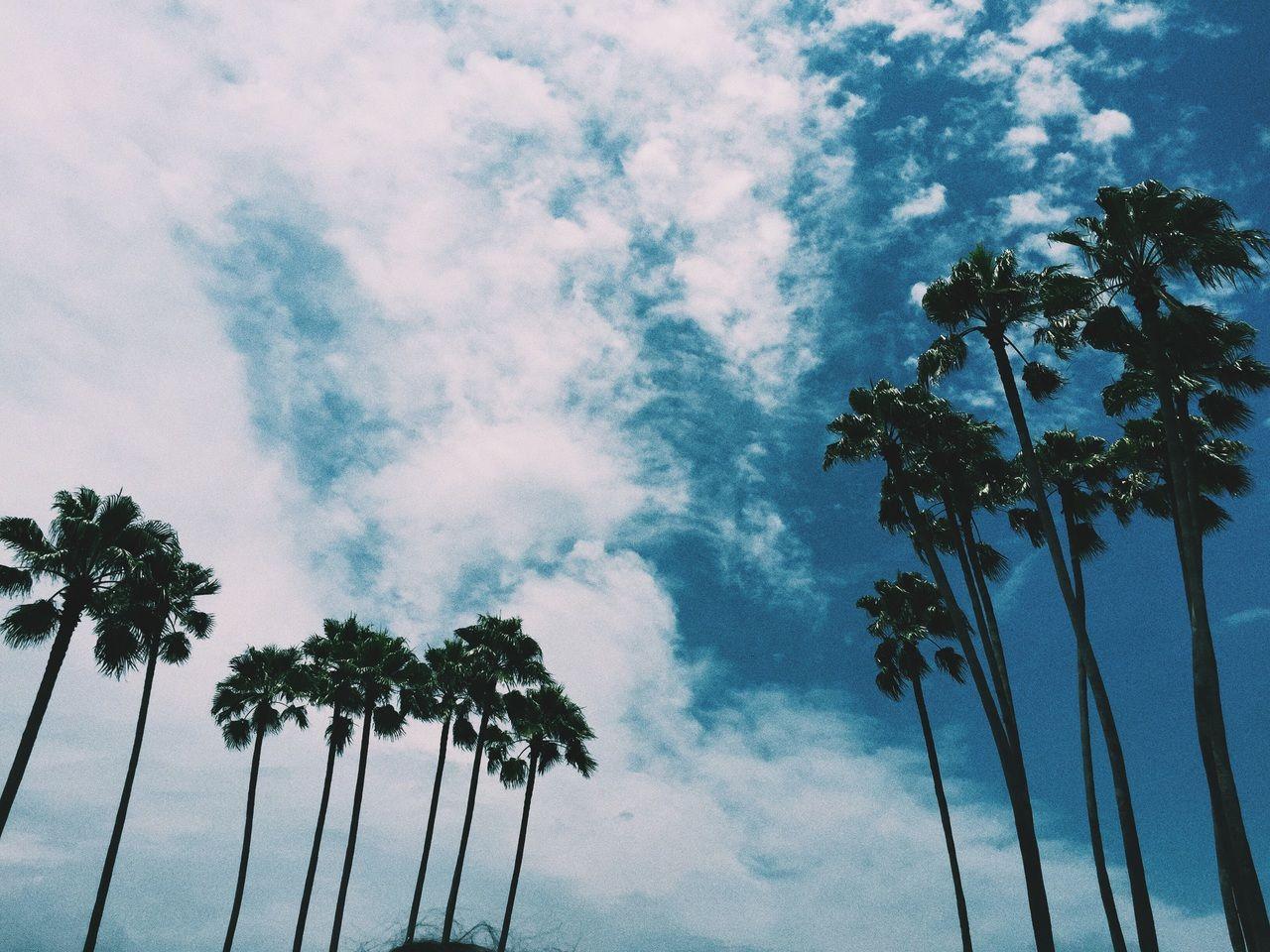 VSCO Blue Wallpapers Top Free VSCO Blue Backgrounds WallpaperAccess