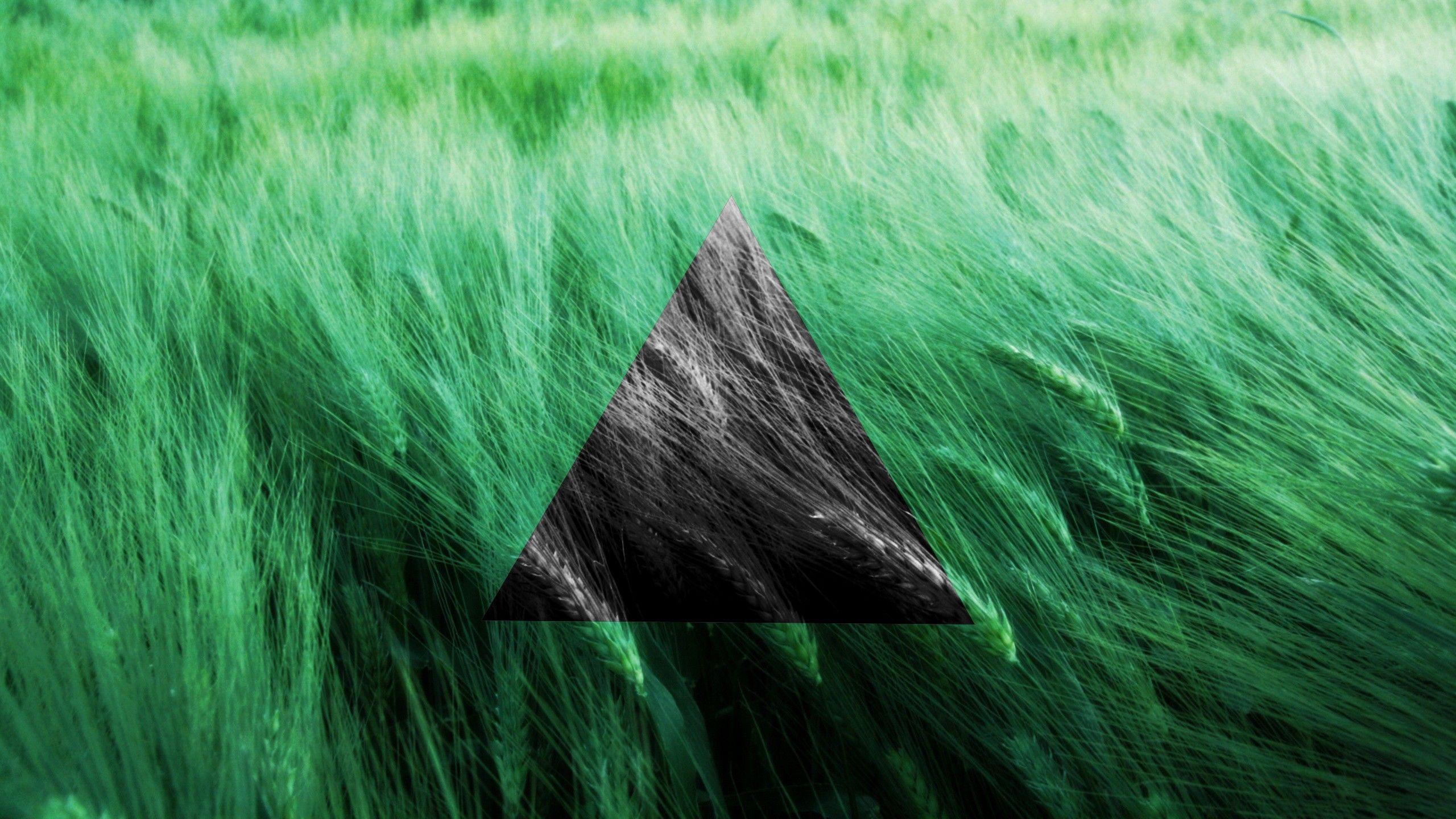 2560x1440 black and white, grass, wind, triangle wallpaper