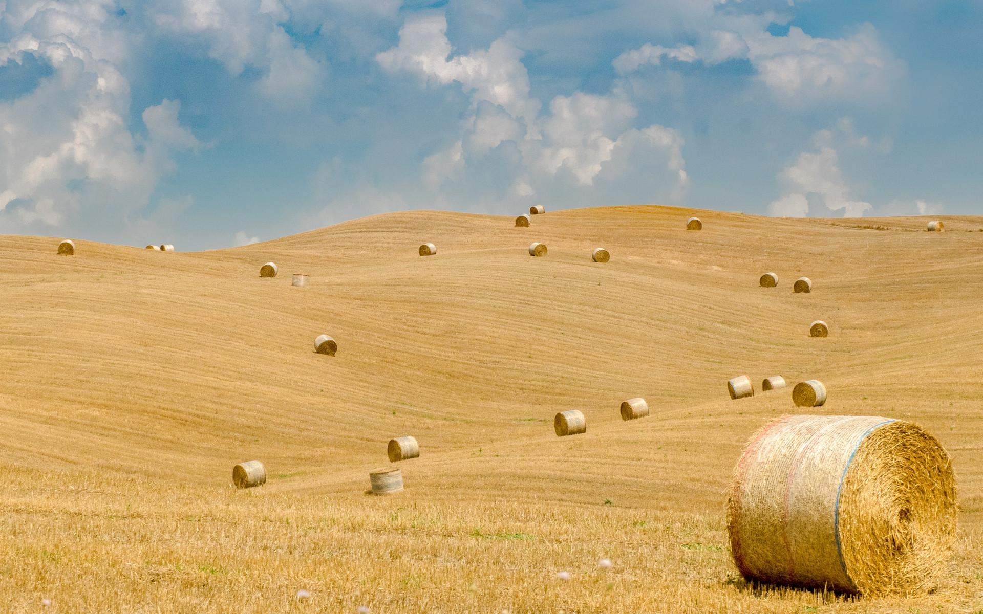 1920x1200 Straw in the wind wallpaper HD. Latest Wallpaper HD
