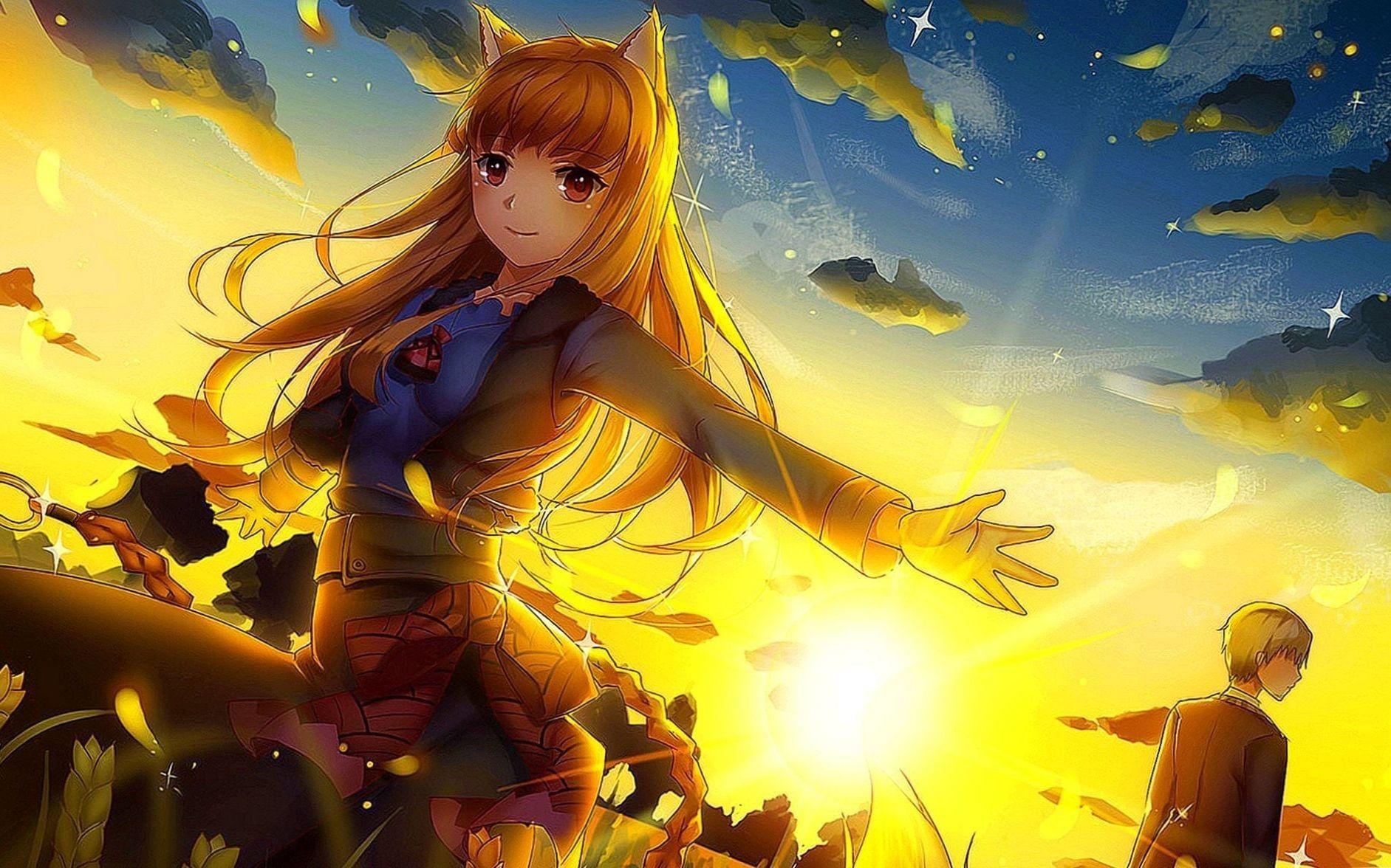 354 Spice And Wolf Hd Wallpapers Background Images Wallpaper Abyss