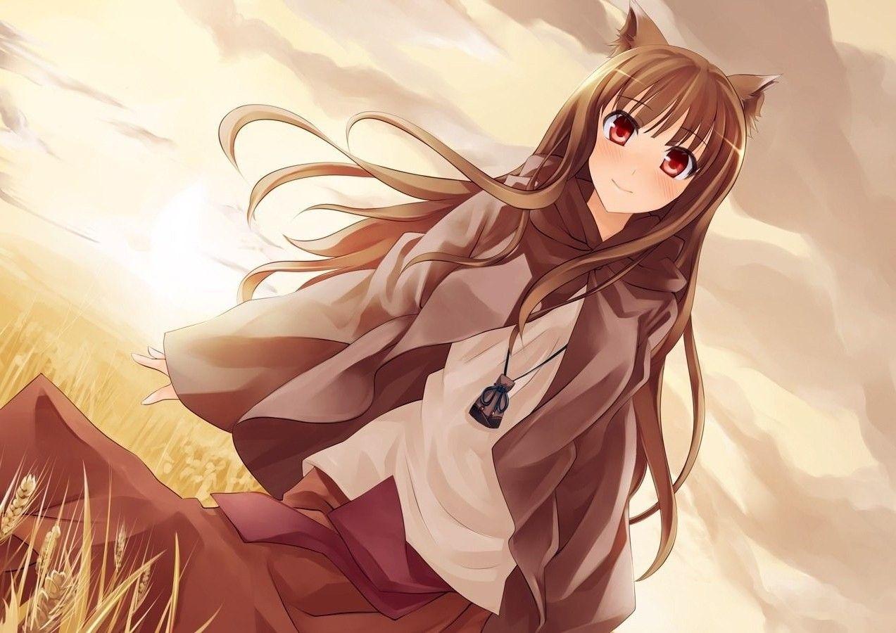 Wallpaper ID 144590  anime anime girls pictureinpicture Spice and  Wolf Holo Spice and Wolf free download